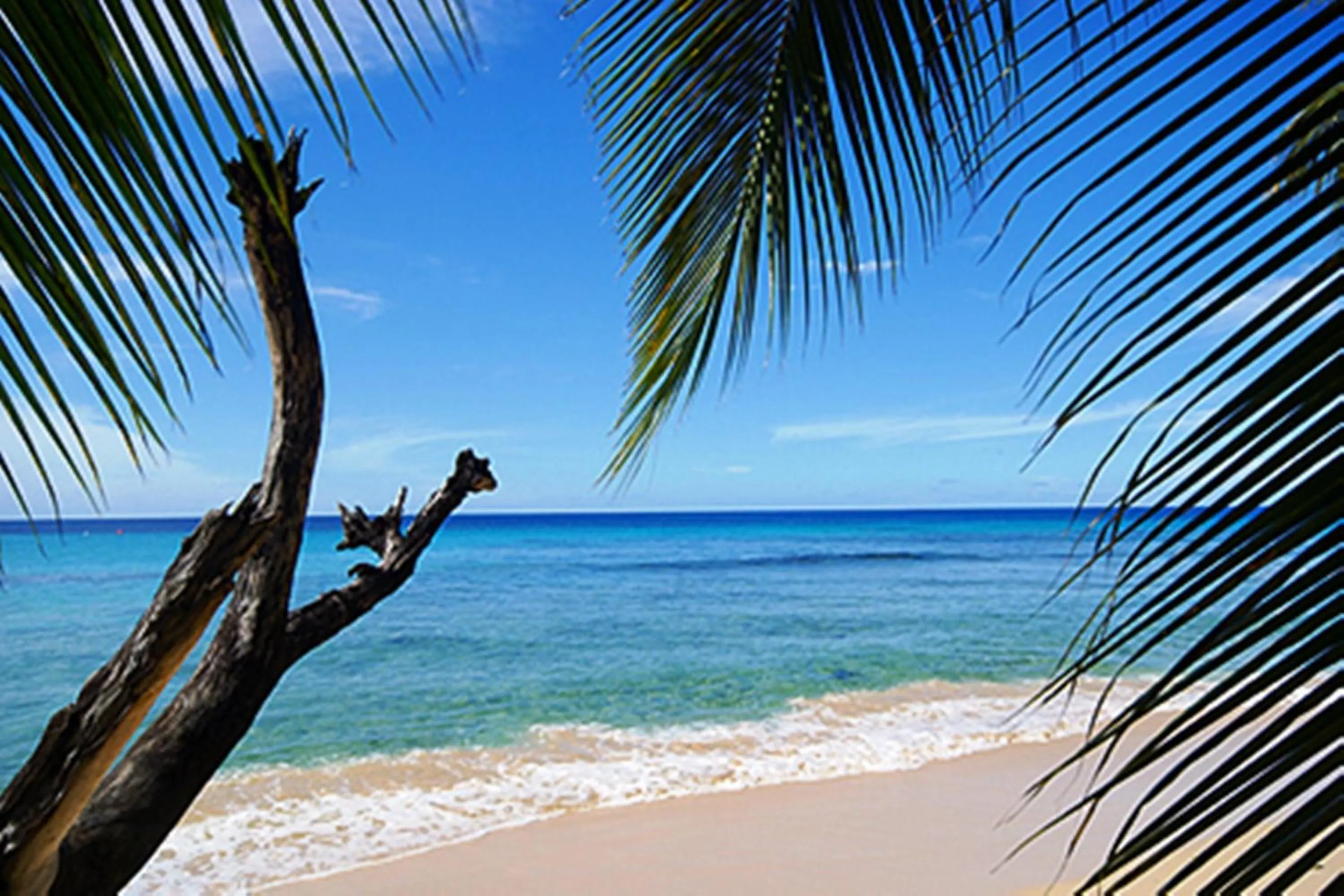 Beach in Best E Villas Providence Ch Ch