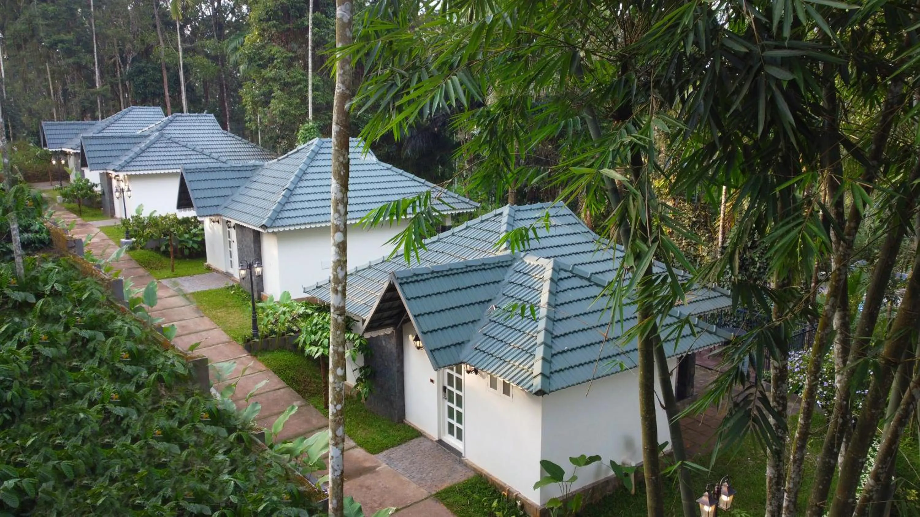 Bird's eye view in The Woods Resorts Wayanad