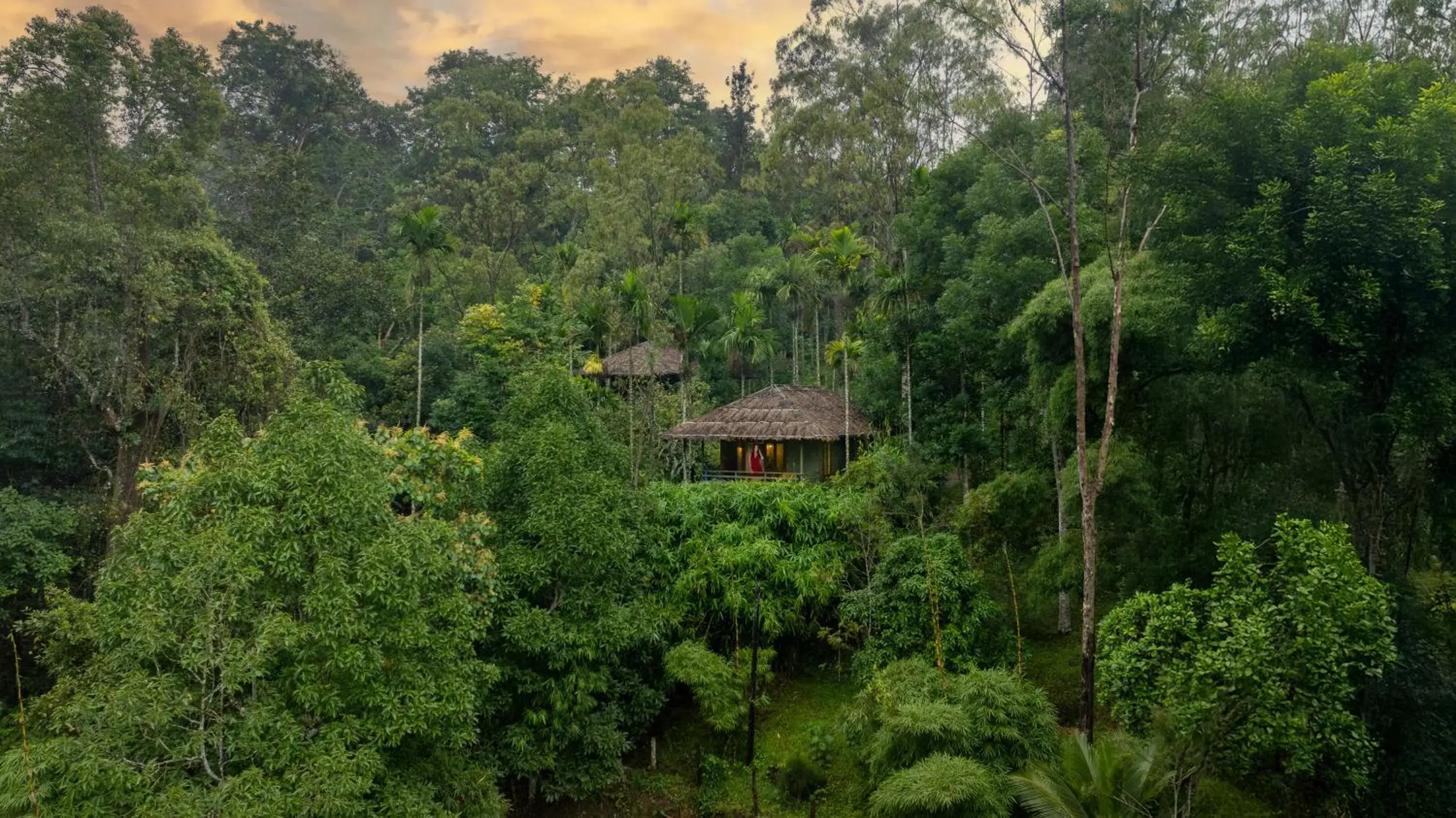 Bird's eye view in The Woods Resorts Wayanad Bird's eye view in The Woods Resorts Wayanad