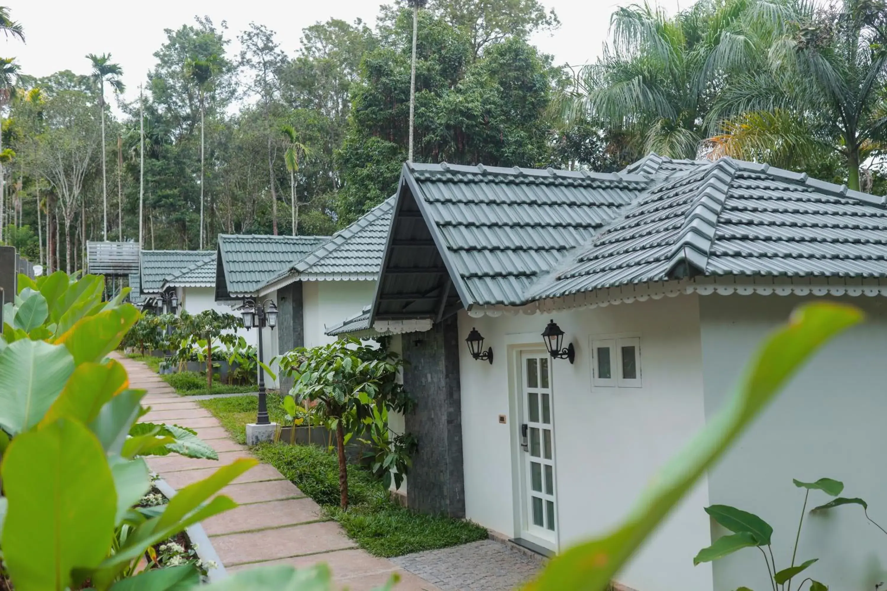 Property building in The Woods Resorts Wayanad Property building in The Woods Resorts Wayanad