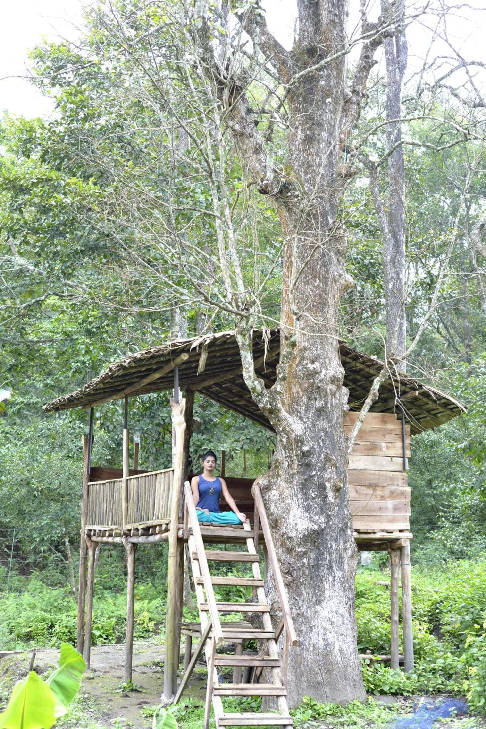 View (from property/room) in The Woods Resorts Wayanad
