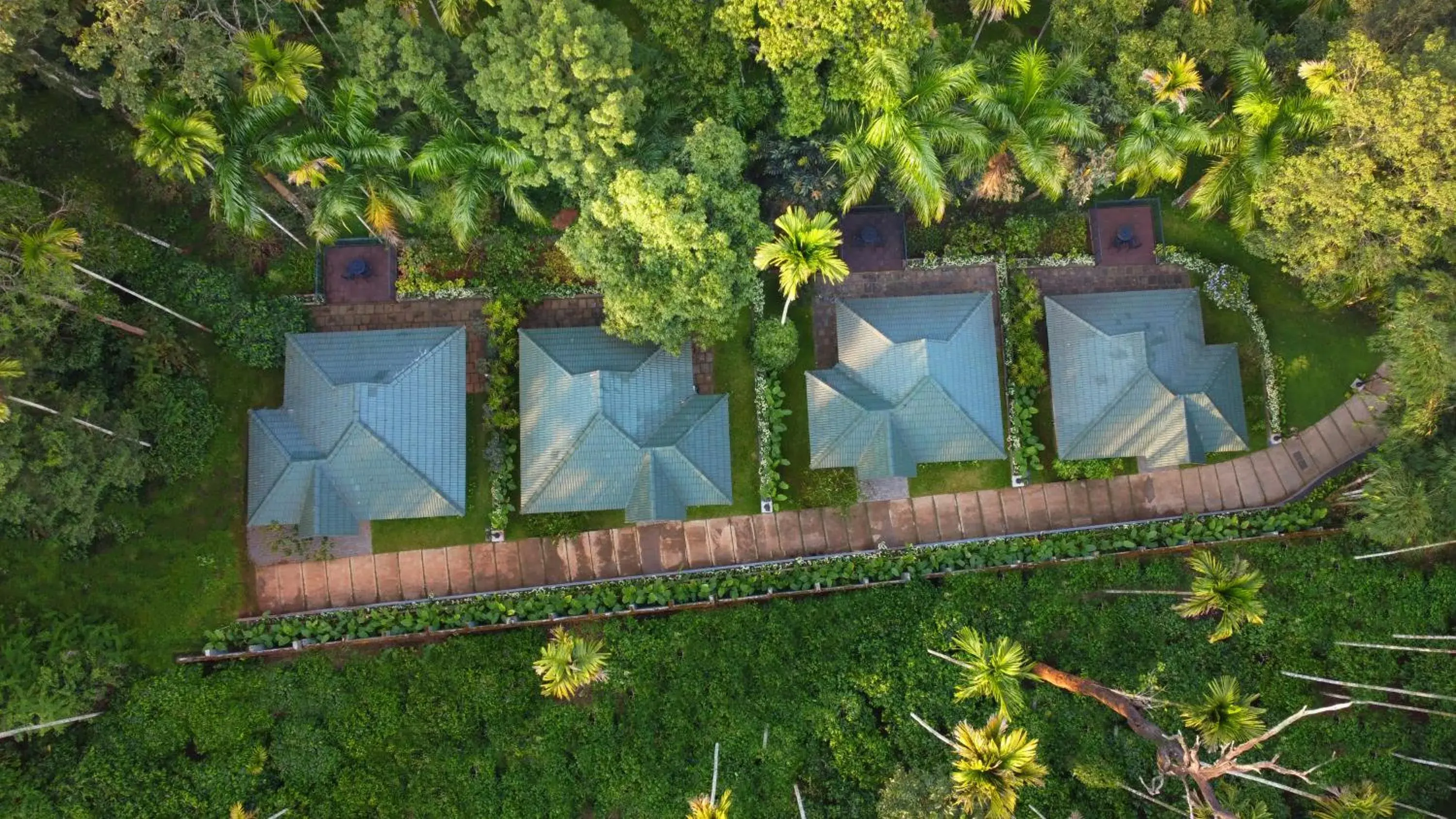 Bird's eye view in The Woods Resorts Wayanad Bird's eye view in The Woods Resorts Wayanad