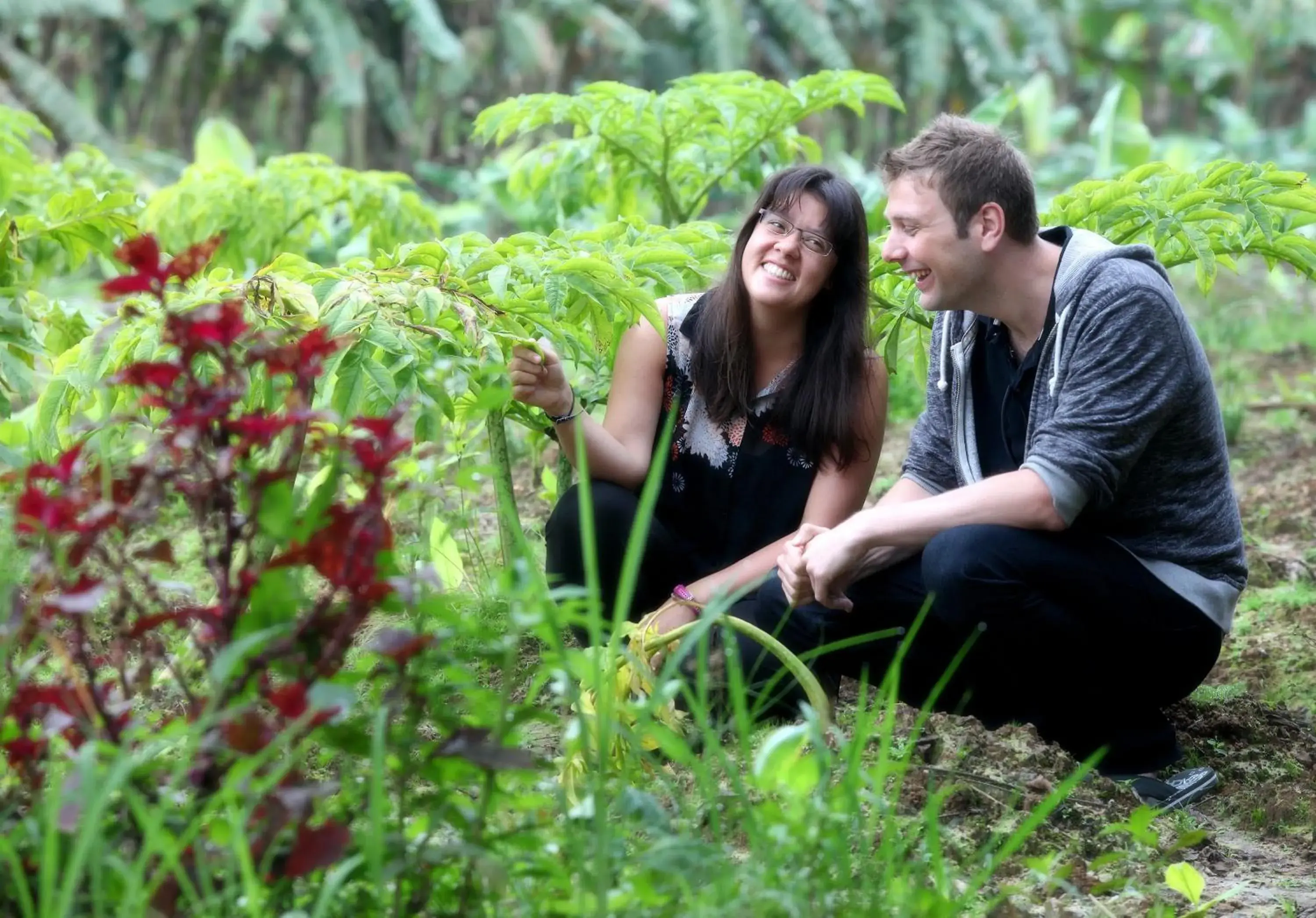 Activities in The Woods Resorts Wayanad Activities in The Woods Resorts Wayanad