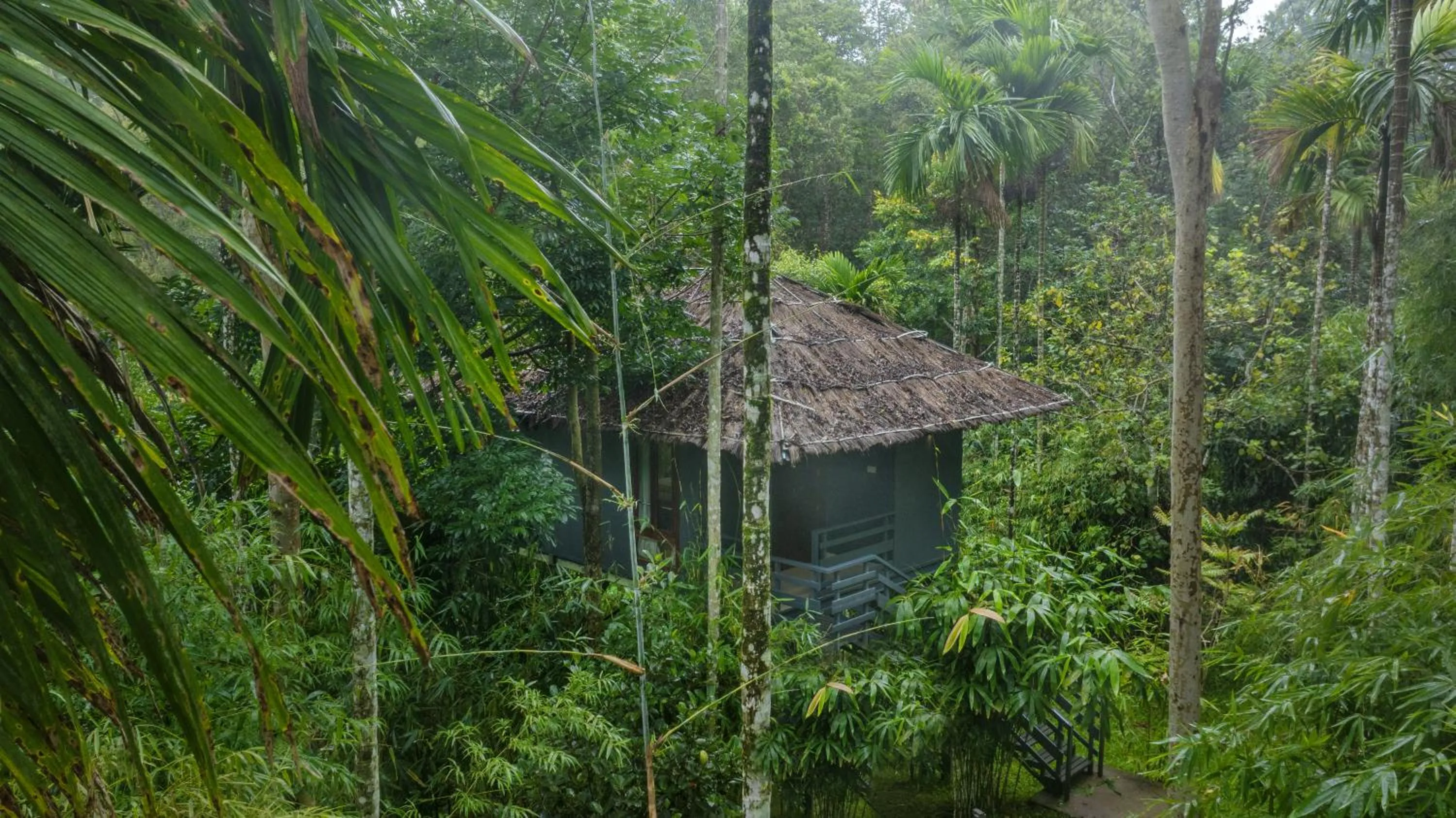 Natural landscape in The Woods Resorts Wayanad