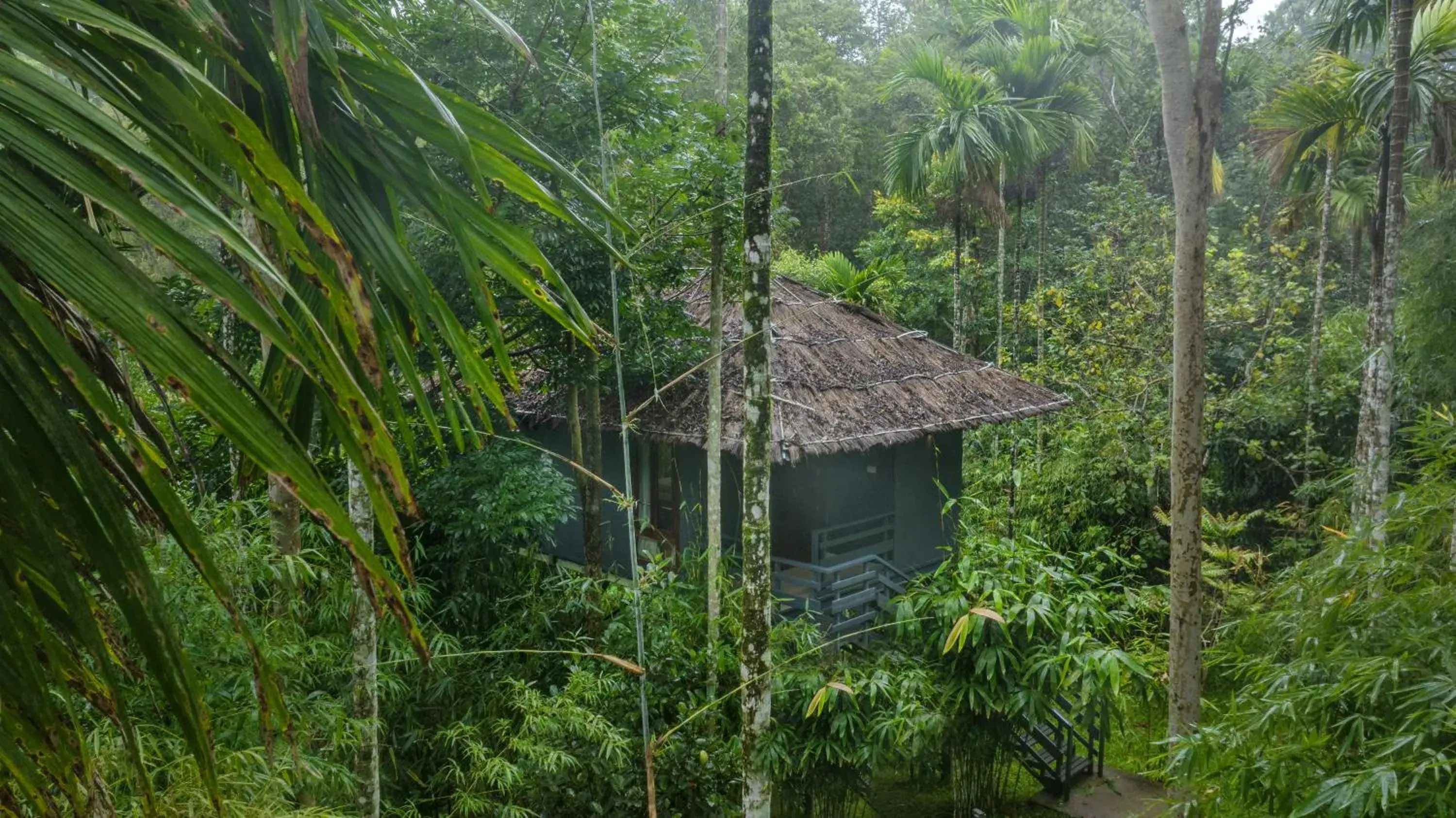 Elevated Cottage with Forest View in The Woods Resorts Wayanad Elevated Cottage with Forest View in The Woods Resorts Wayanad