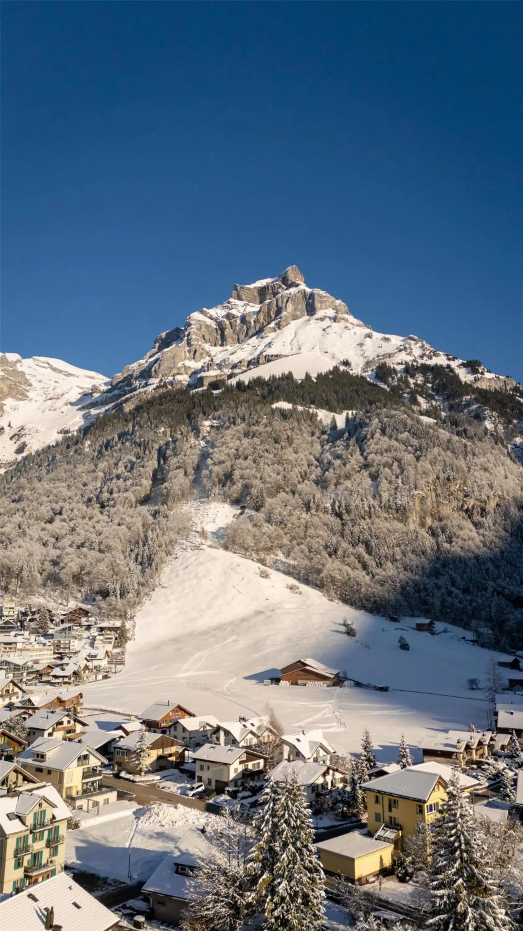 Photo of the whole room in Kempinski Palace Engelberg