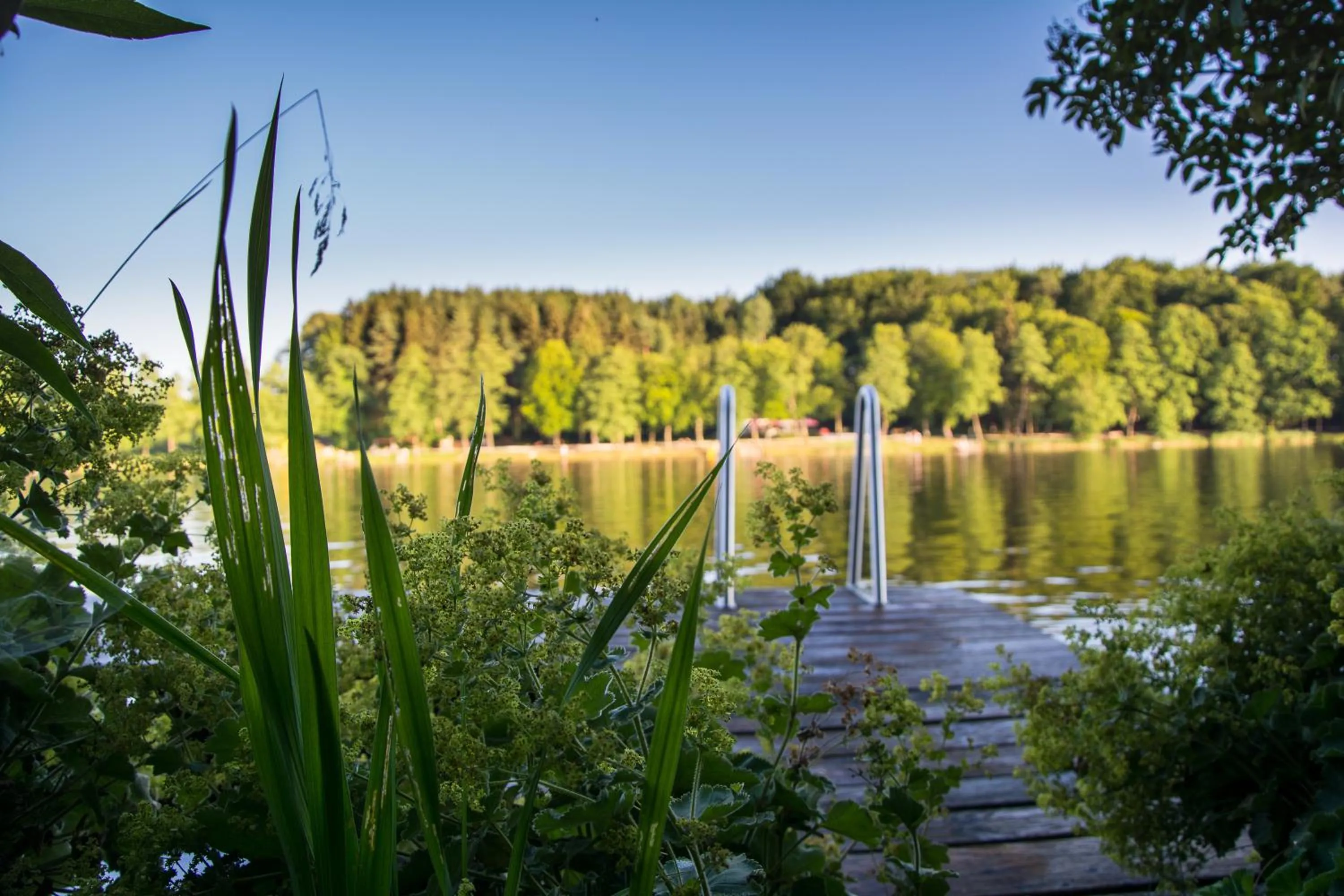Beach in Der Seewirt
