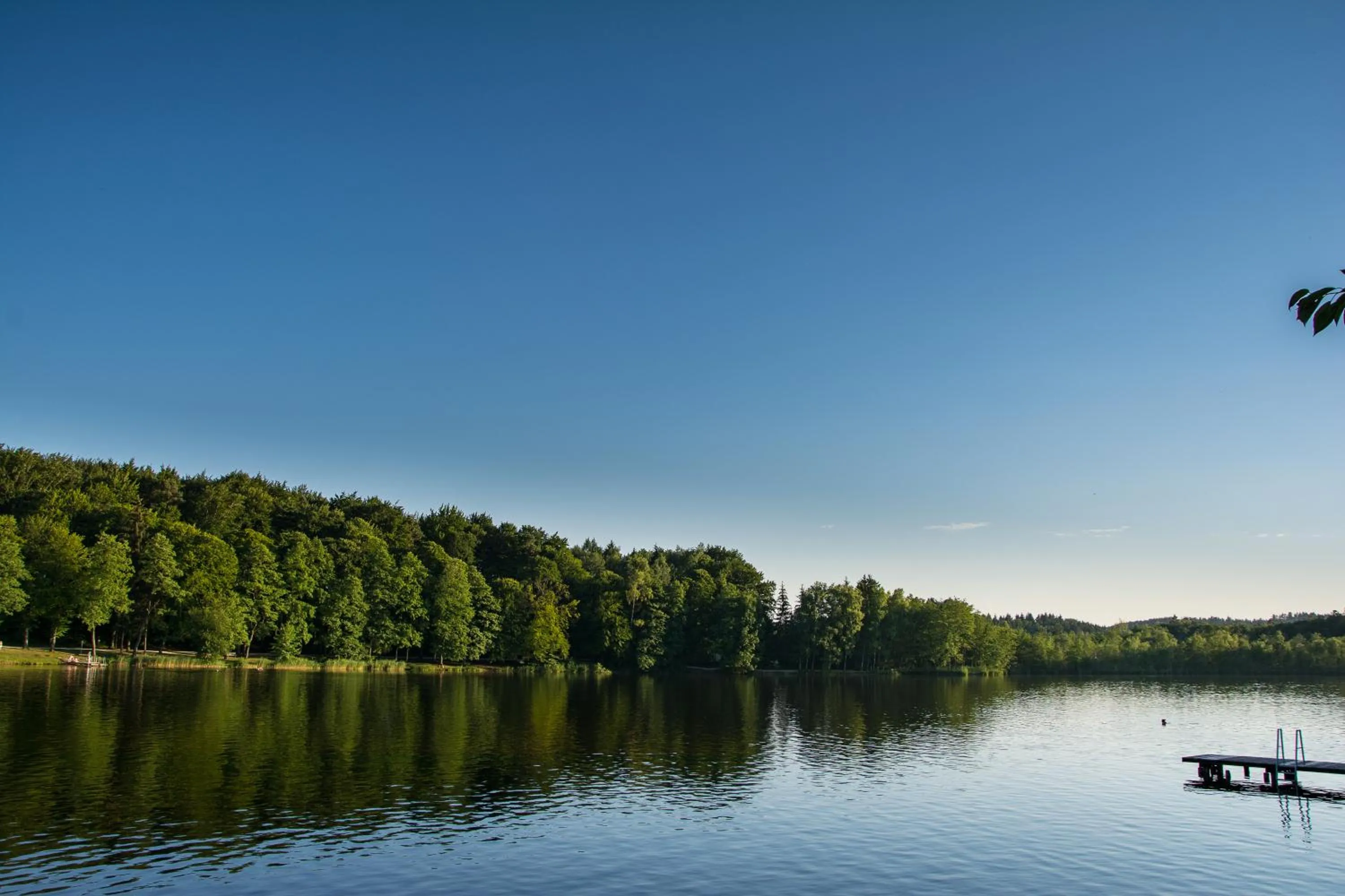 Natural landscape in Der Seewirt