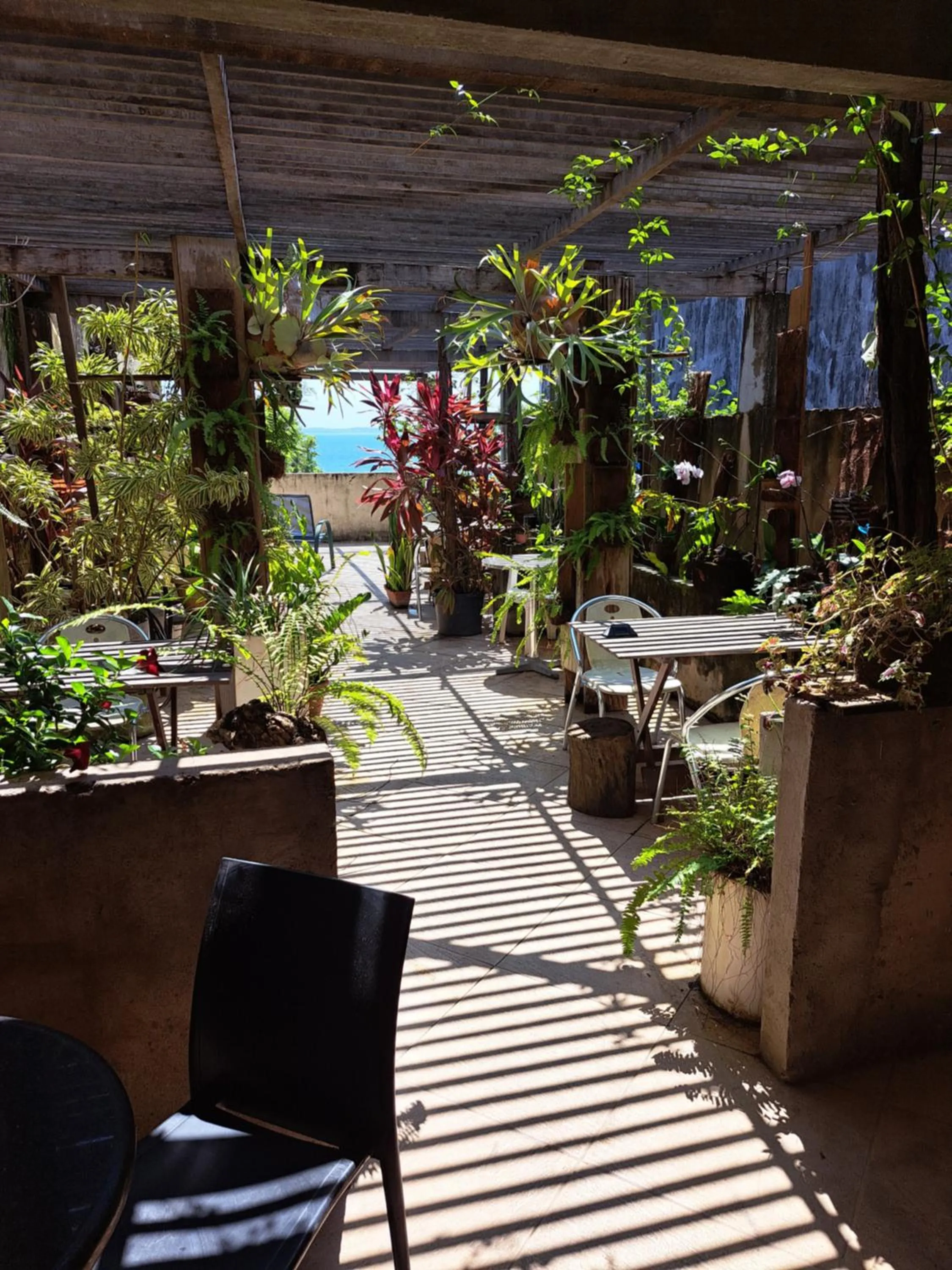 Garden in Beach Front Village