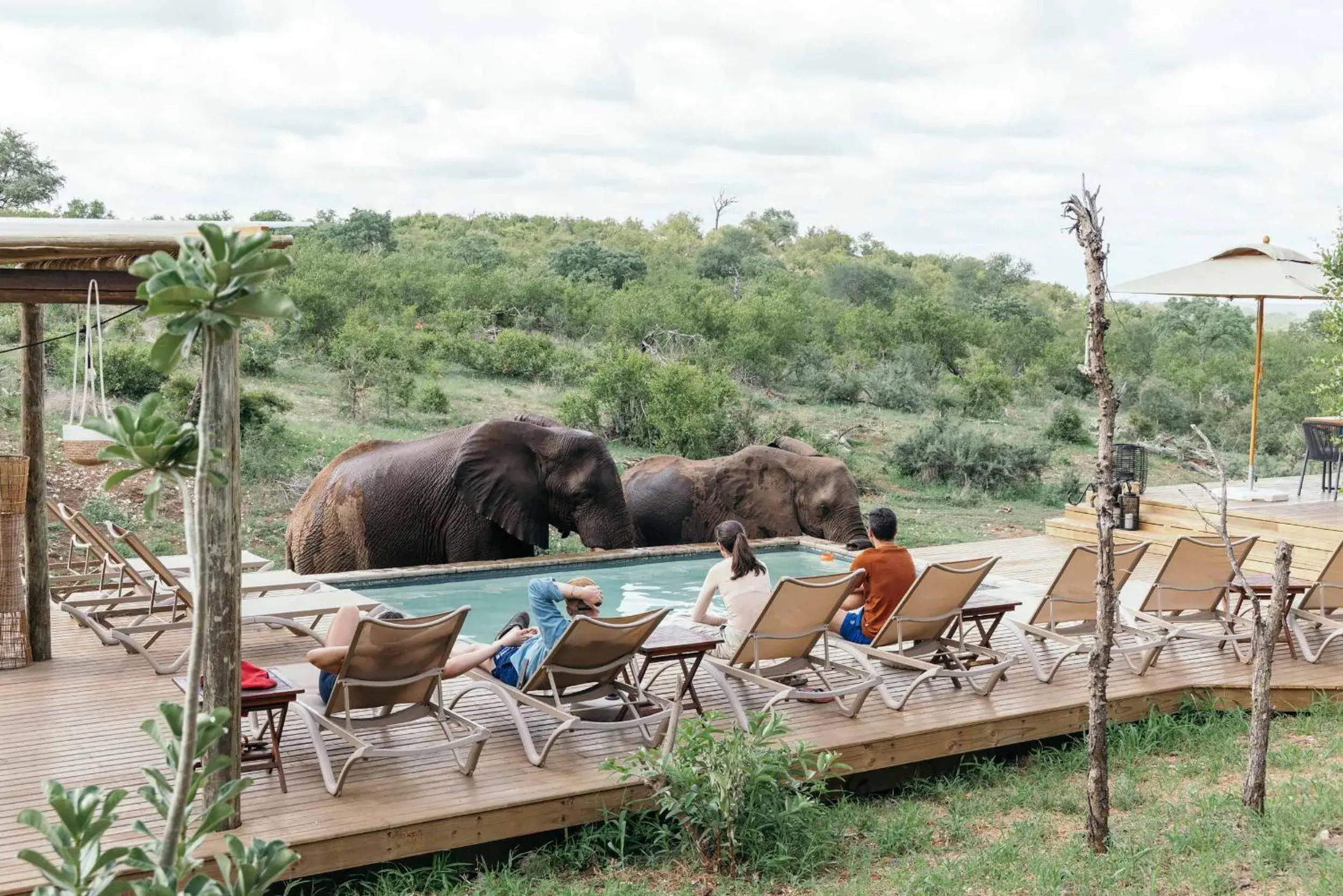 Isambane Camp Isambane Camp