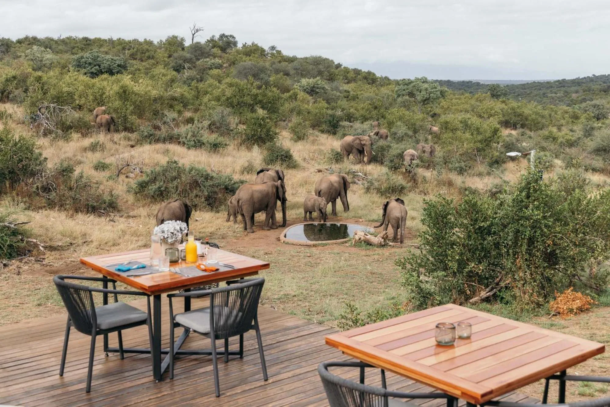 Restaurant/places to eat in Isambane Camp