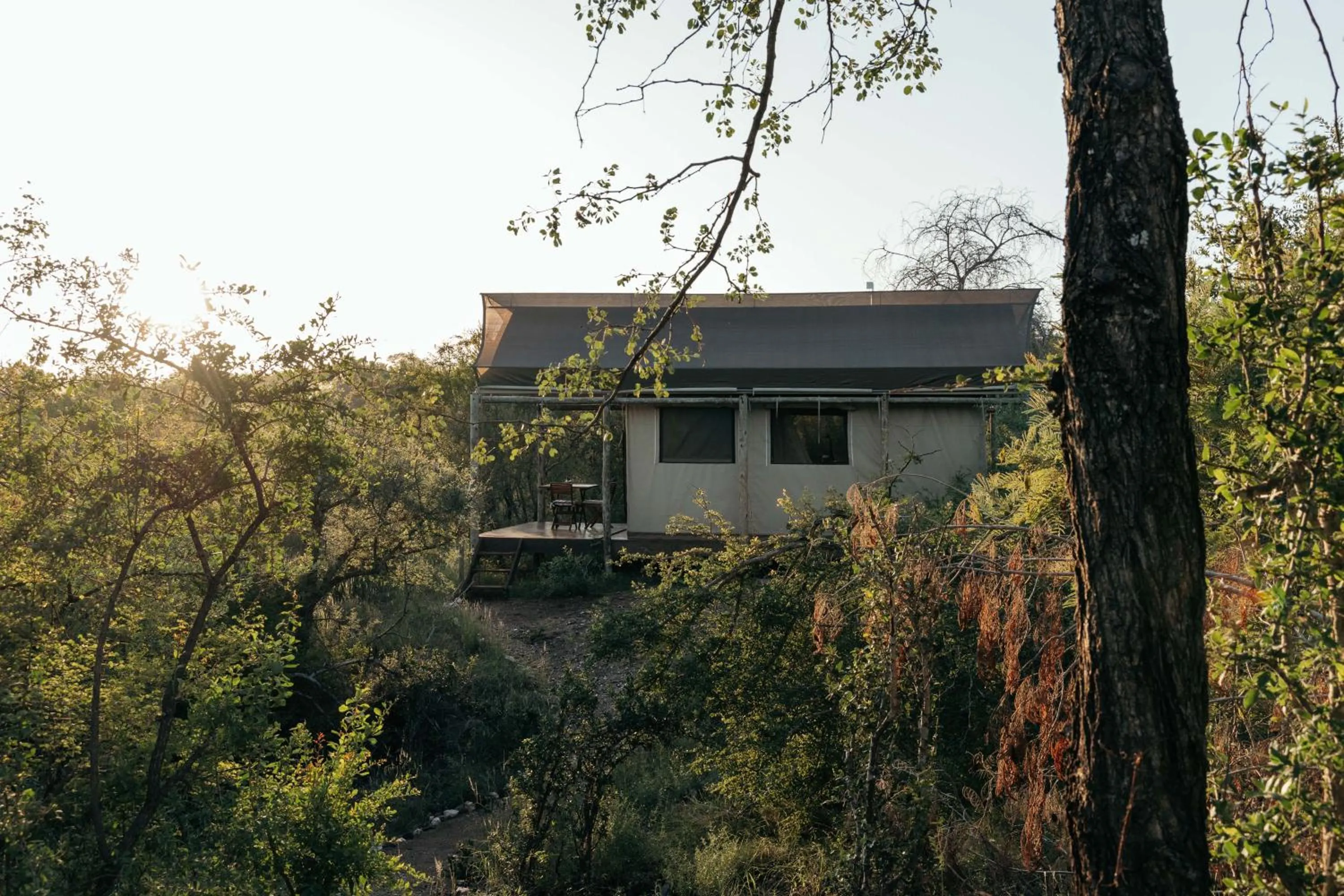 View (from property/room) in Isambane Camp