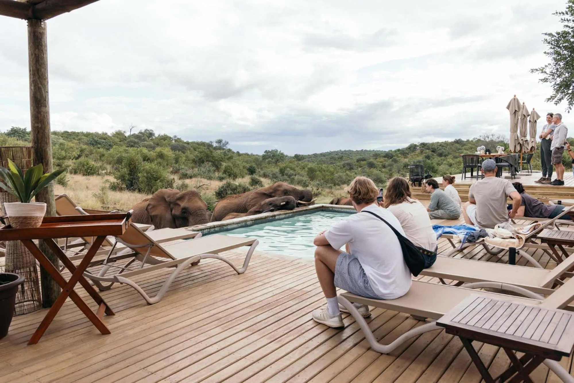 Pool view in Isambane Camp