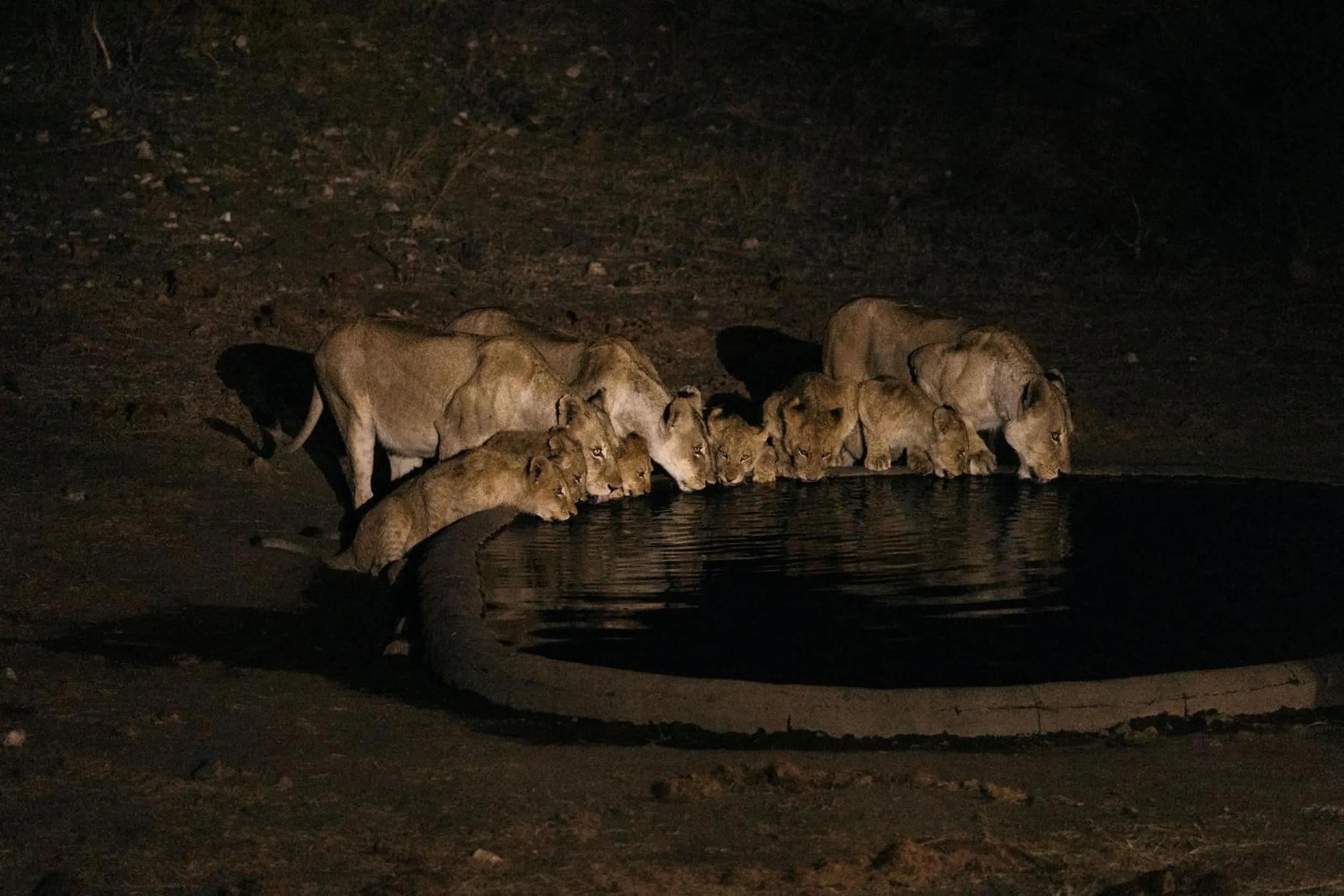 Night in Isambane Camp