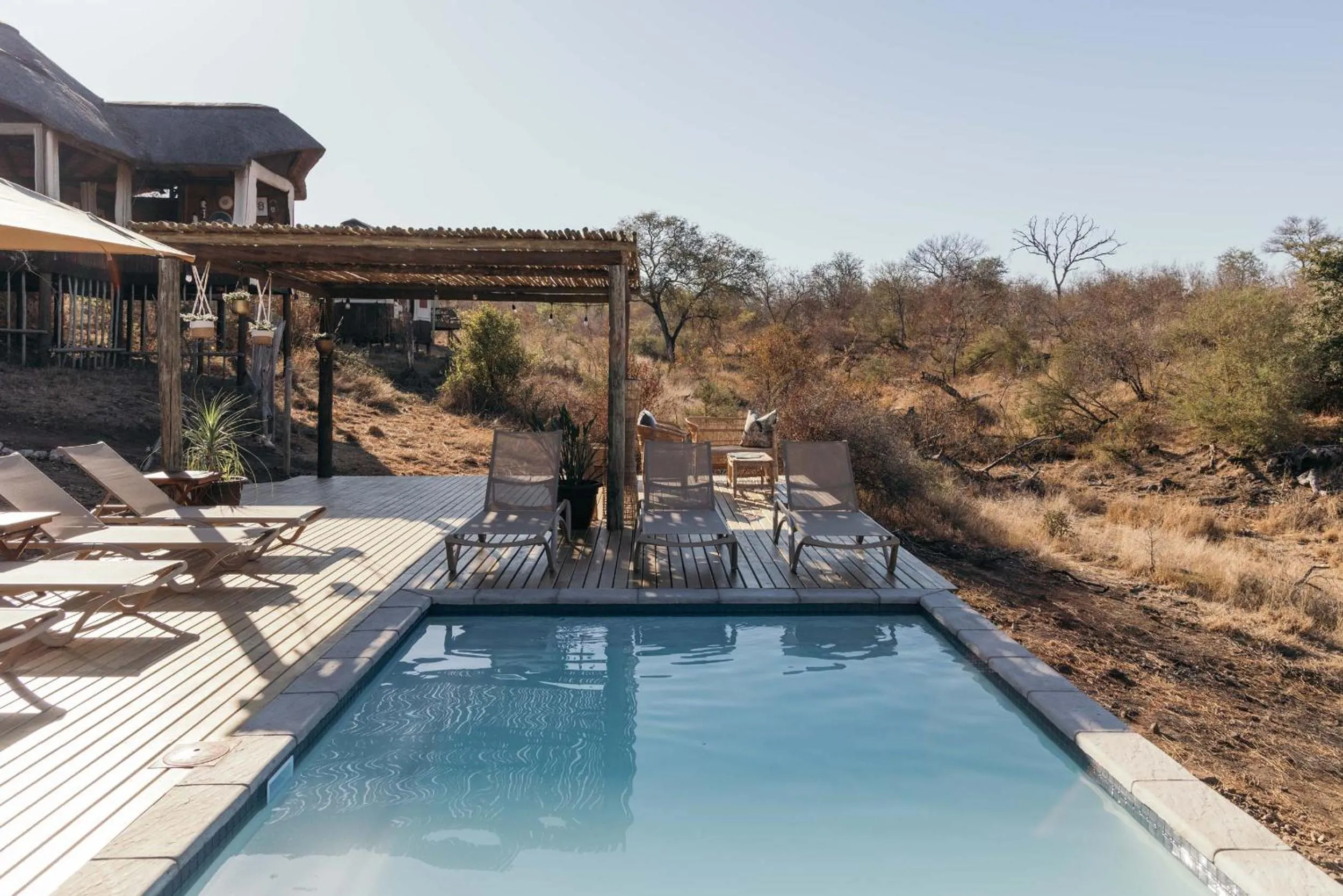 Pool view in Isambane Camp