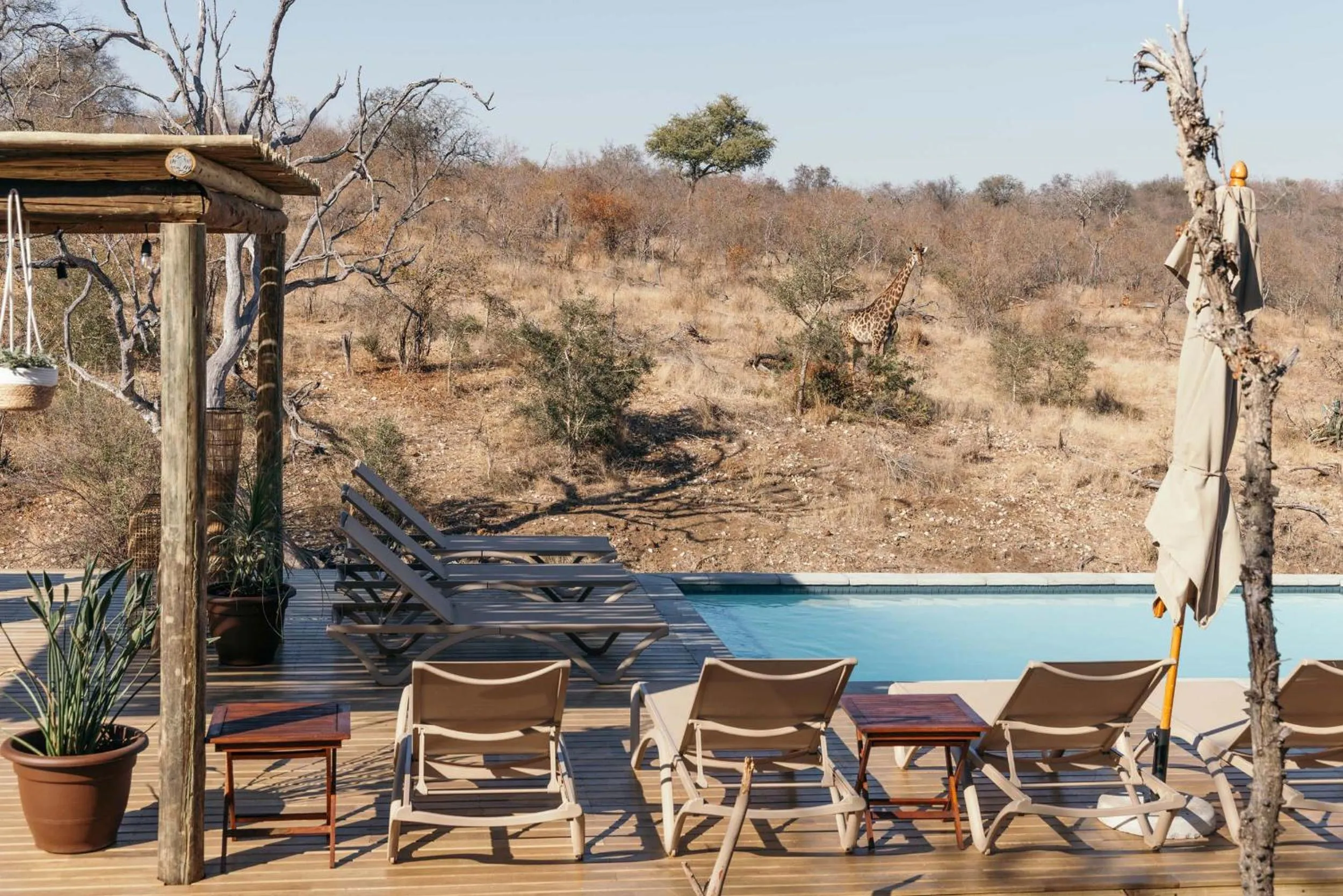 Natural landscape in Isambane Camp