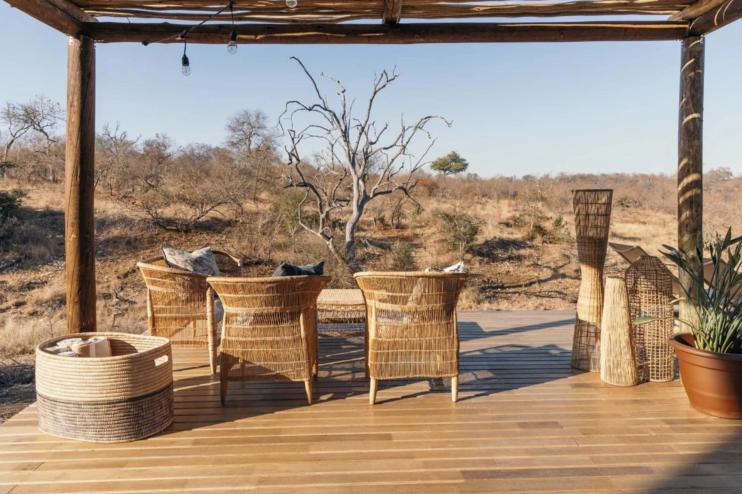 View (from property/room) in Isambane Camp