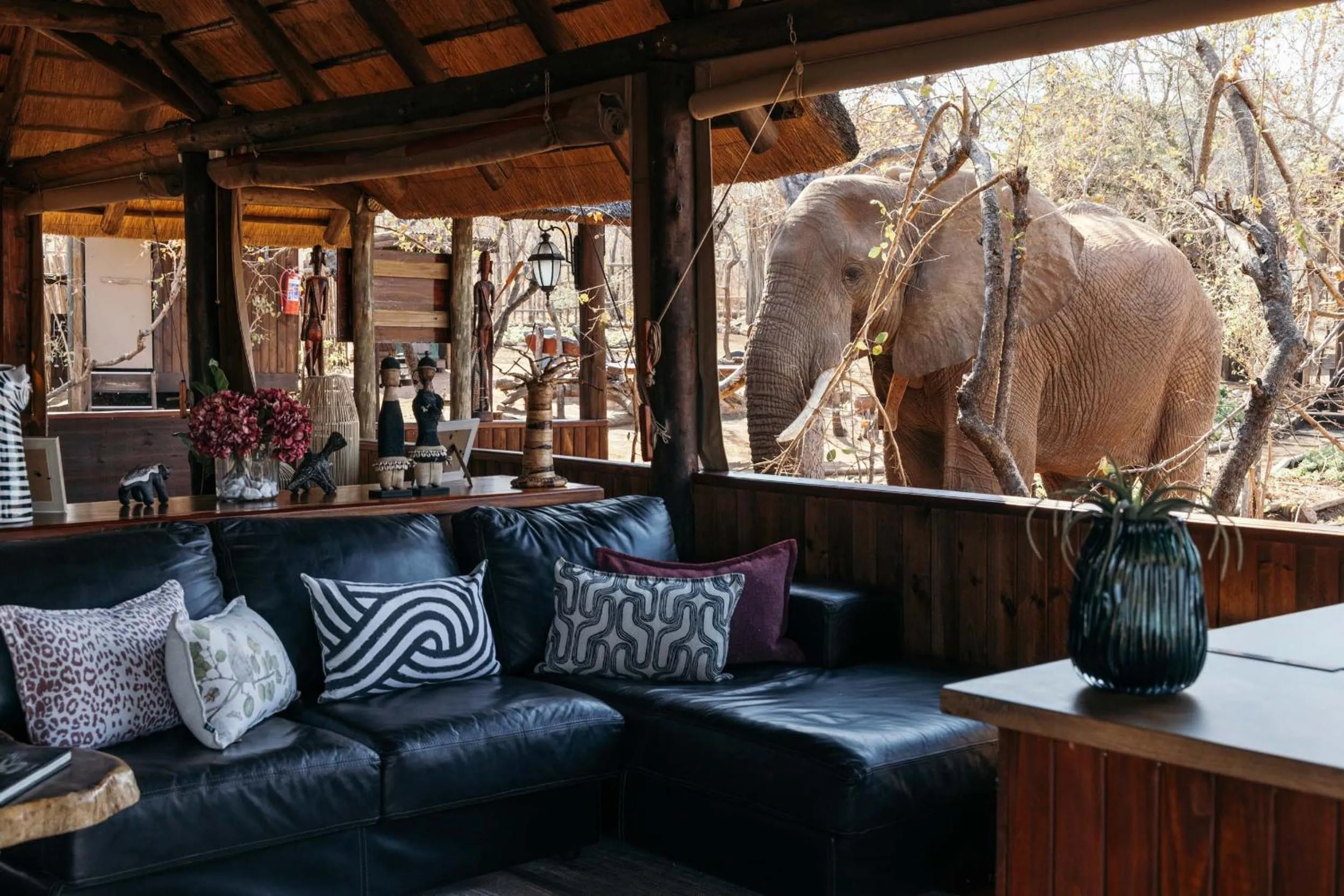 Living room in Isambane Camp