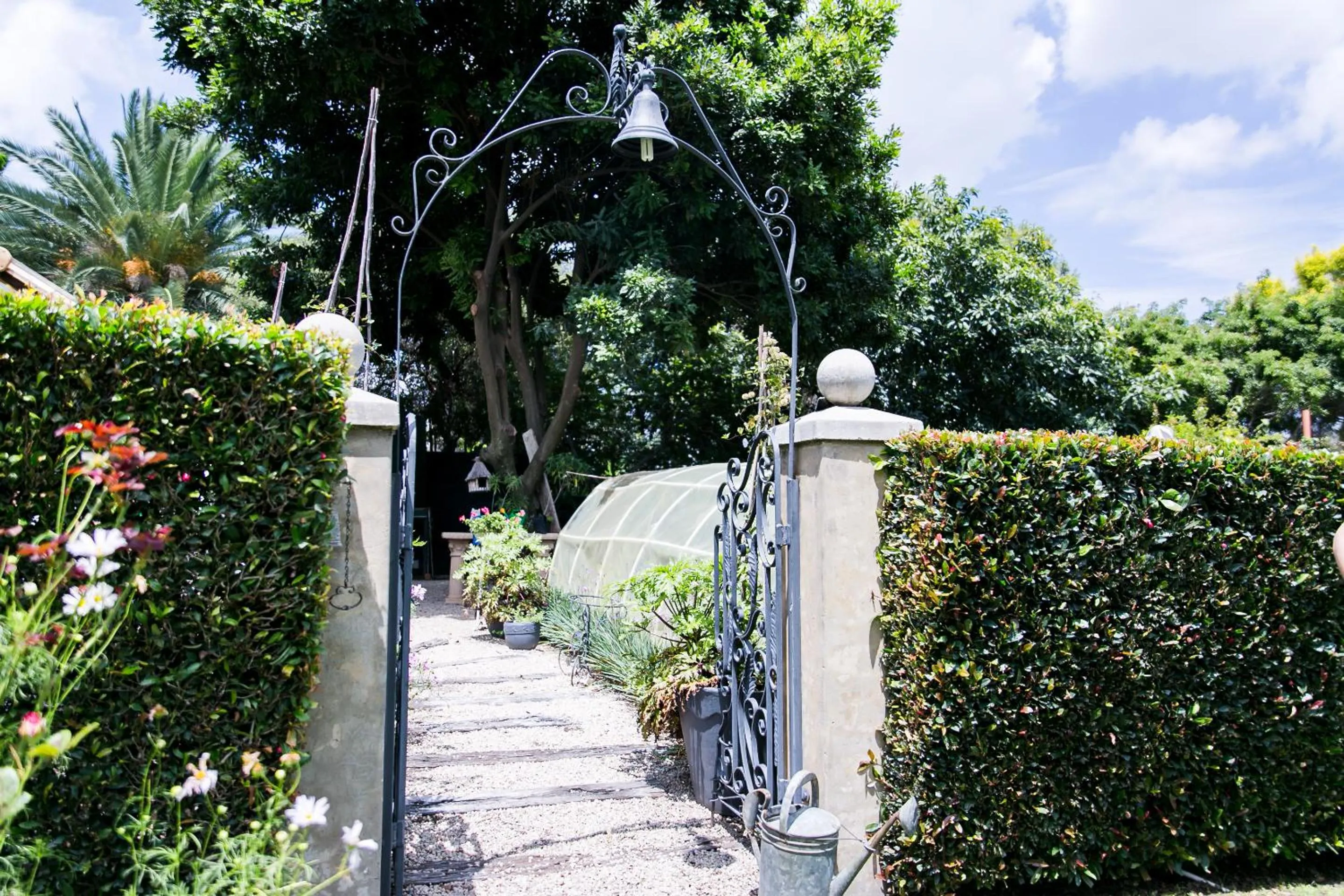 Garden in Burkleigh House