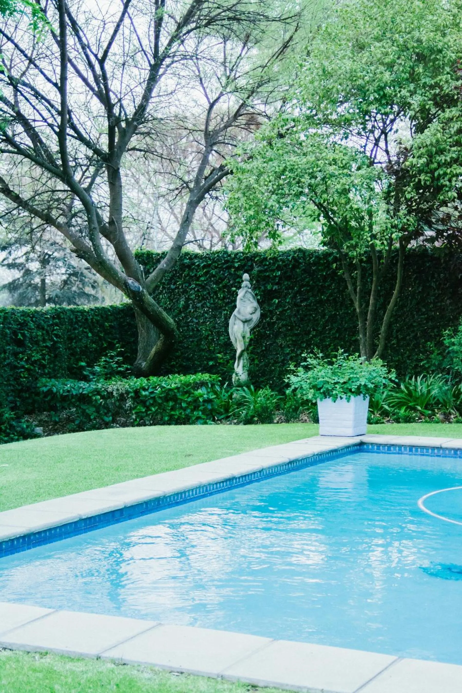 Swimming pool in Burkleigh House