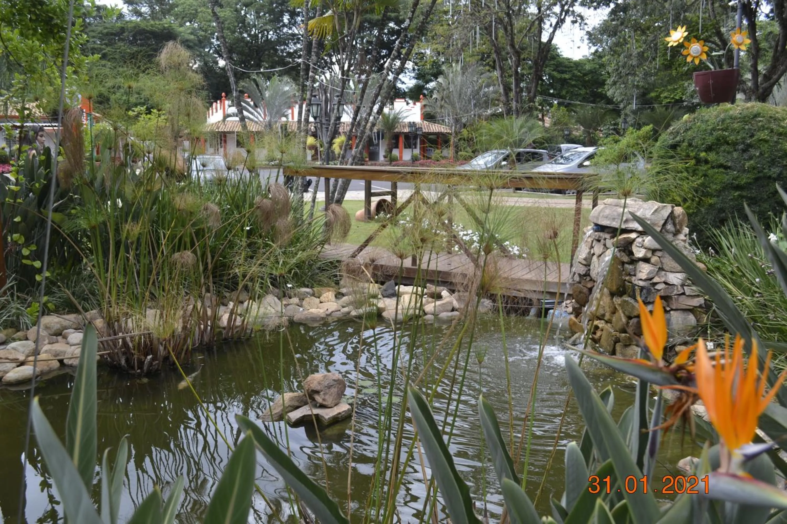 Natural landscape in Apto Top Centrum Holambra/excelente localização