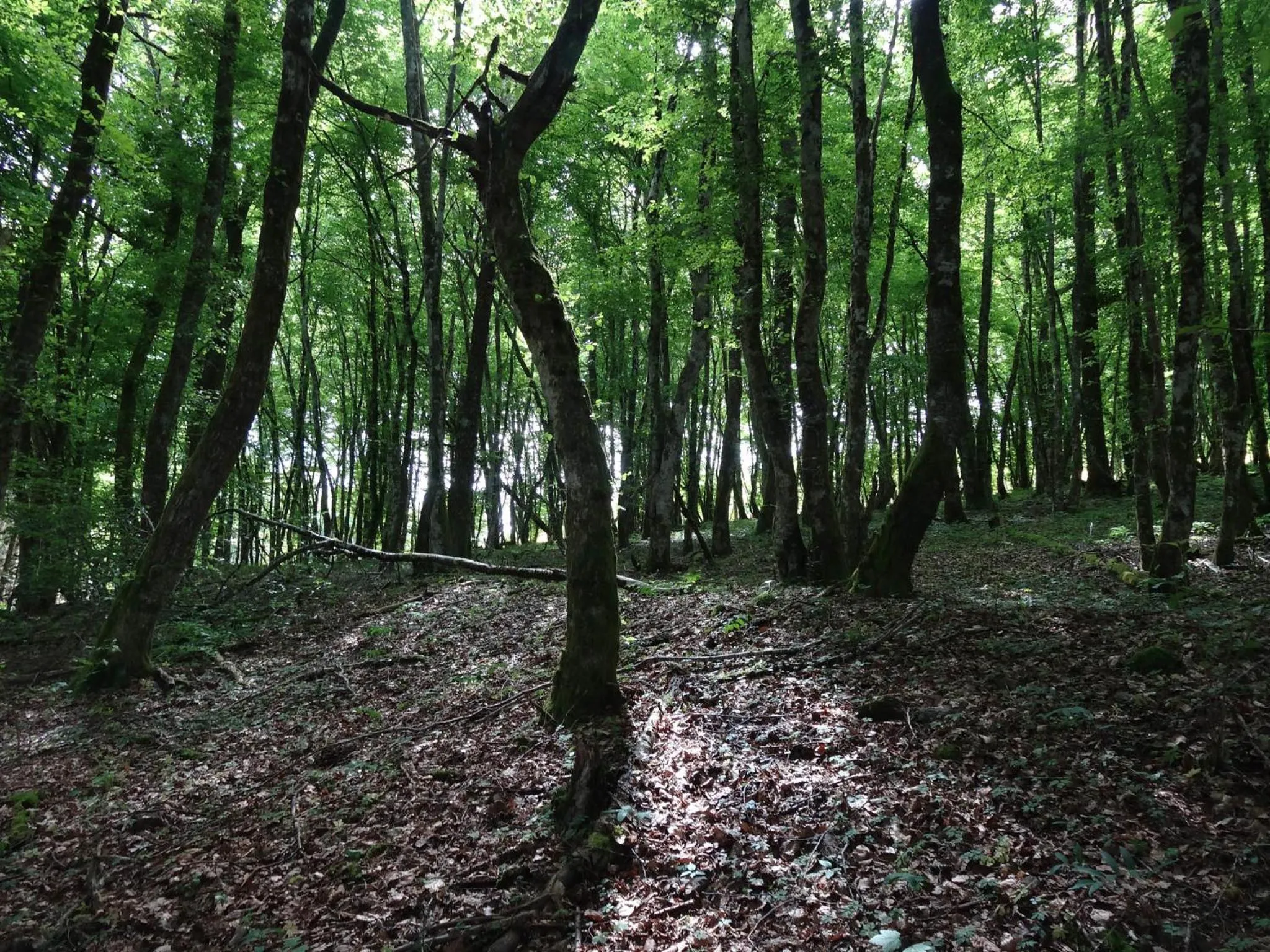Hiking in Hôtel l'Annexe