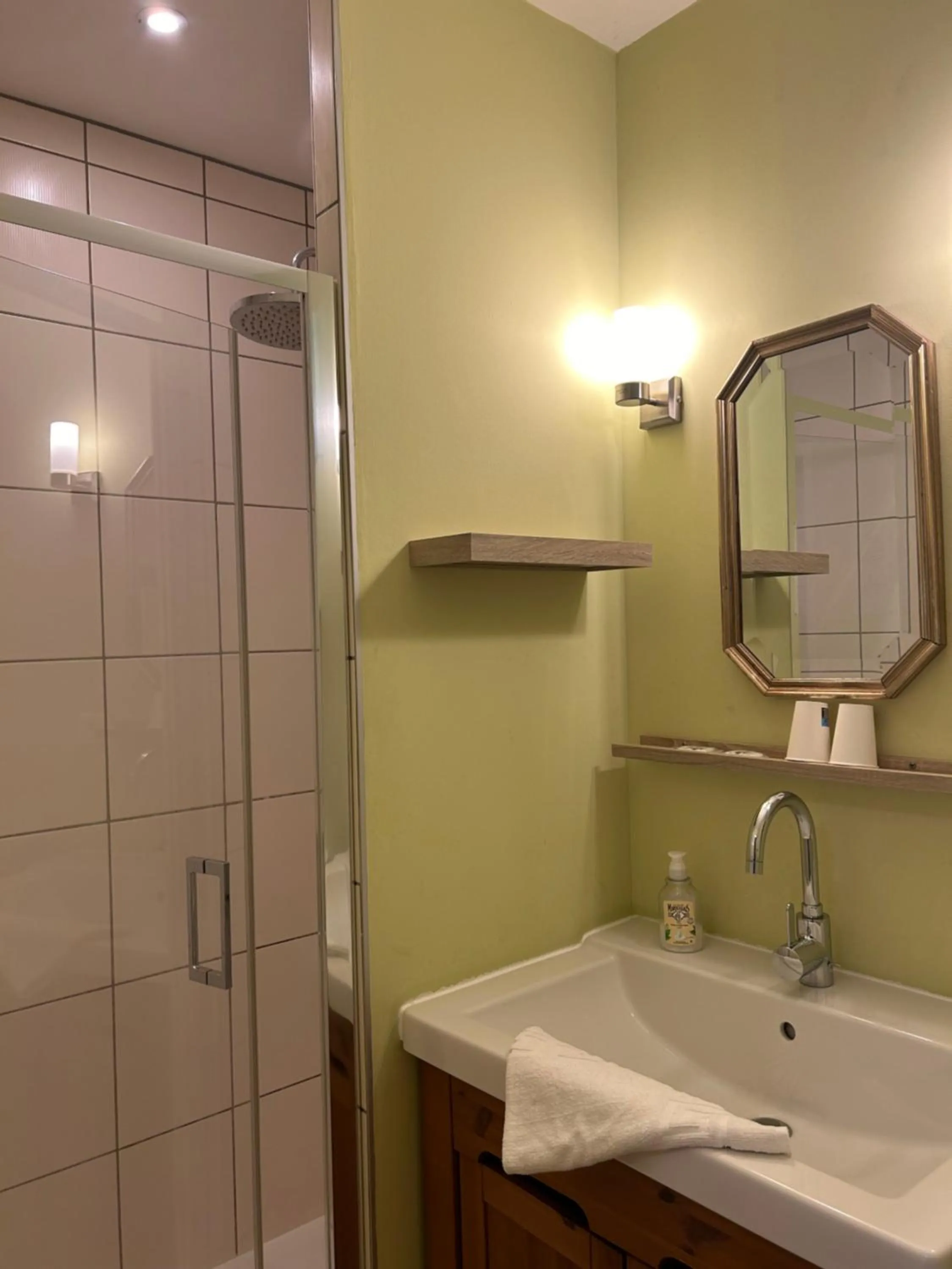 Shower in Hôtel l'Annexe
