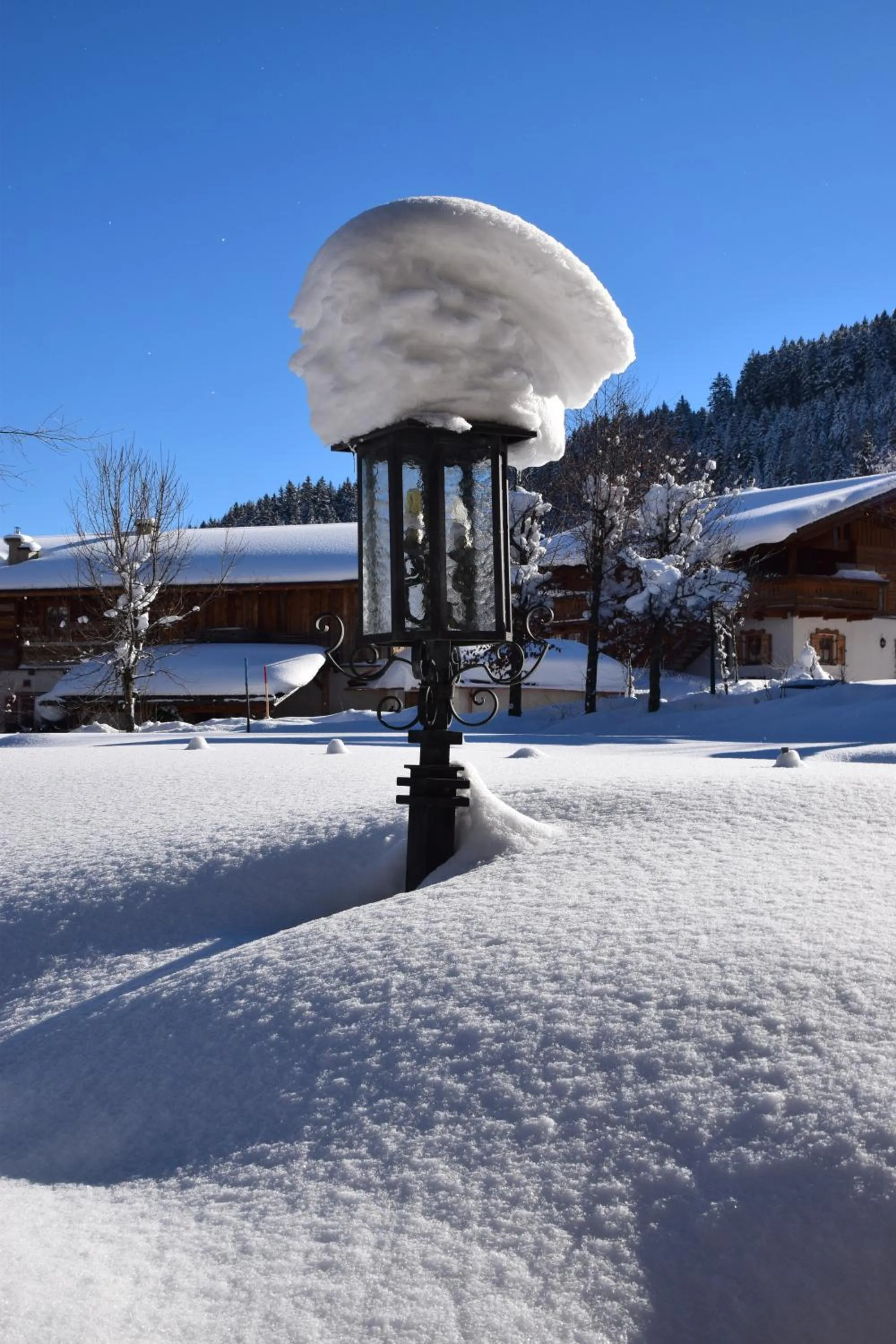 Area and facilities in Hotel Unterhof