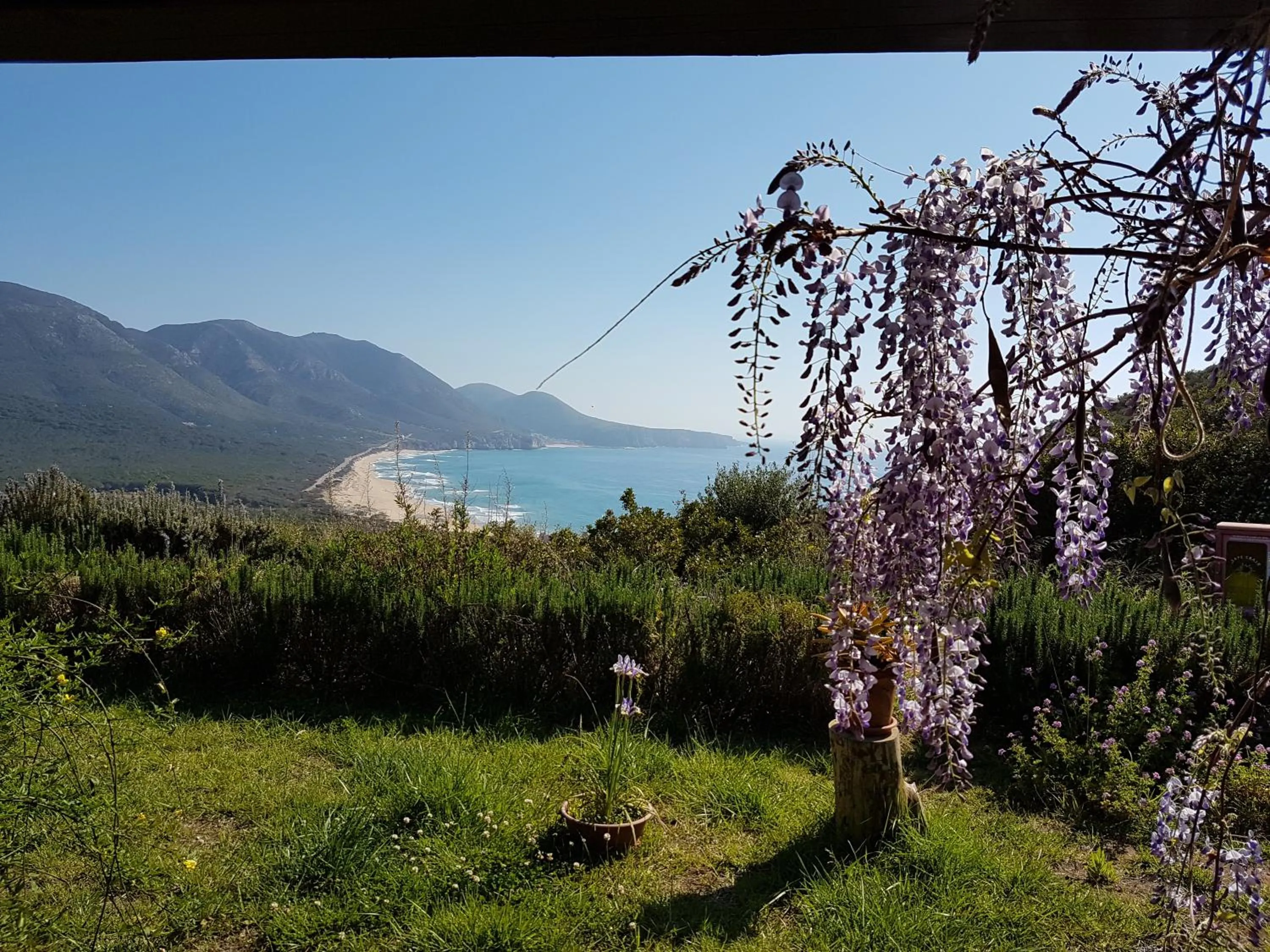 Garden in Hotel Sardus Pater