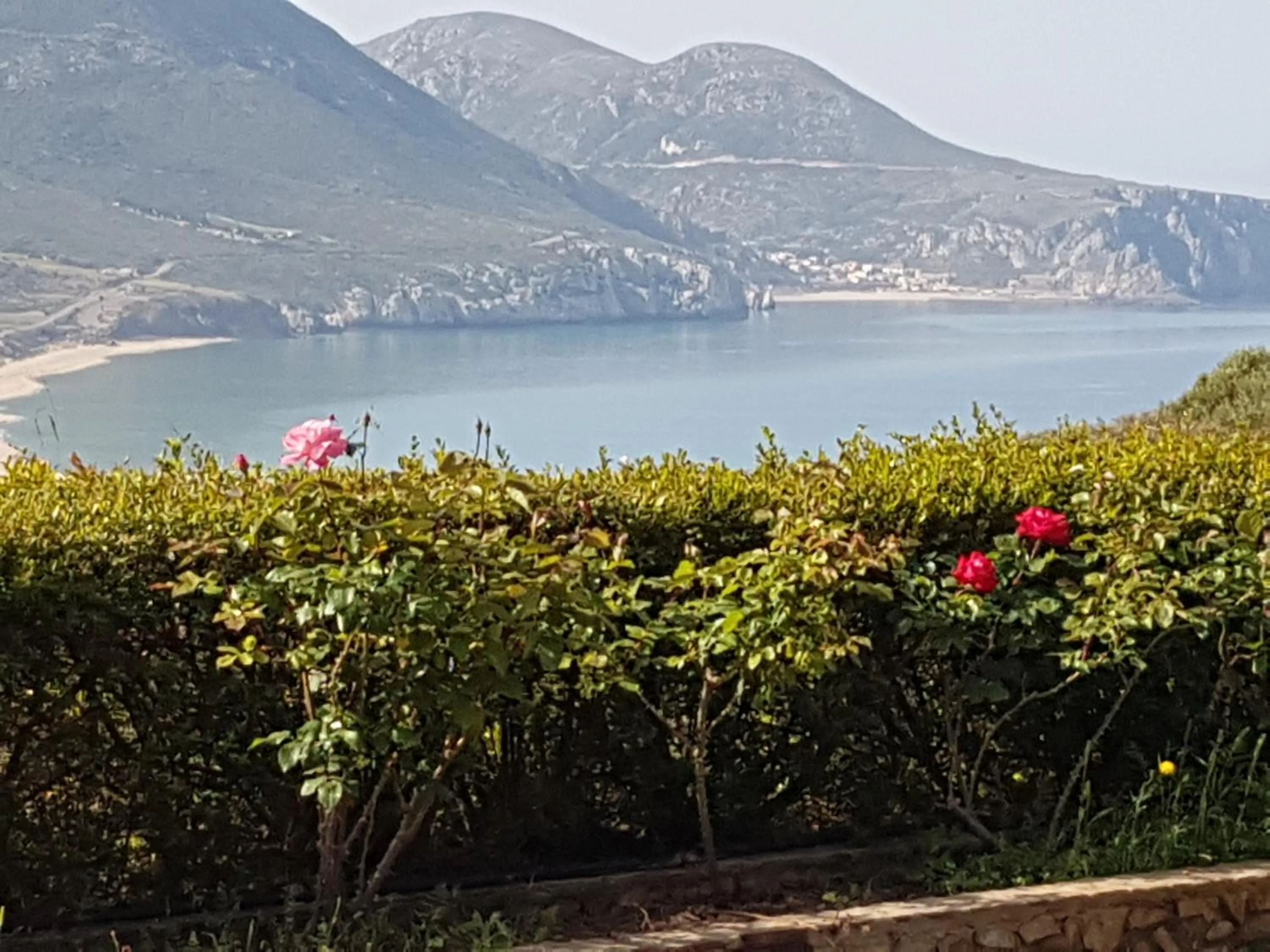Garden view in Hotel Sardus Pater