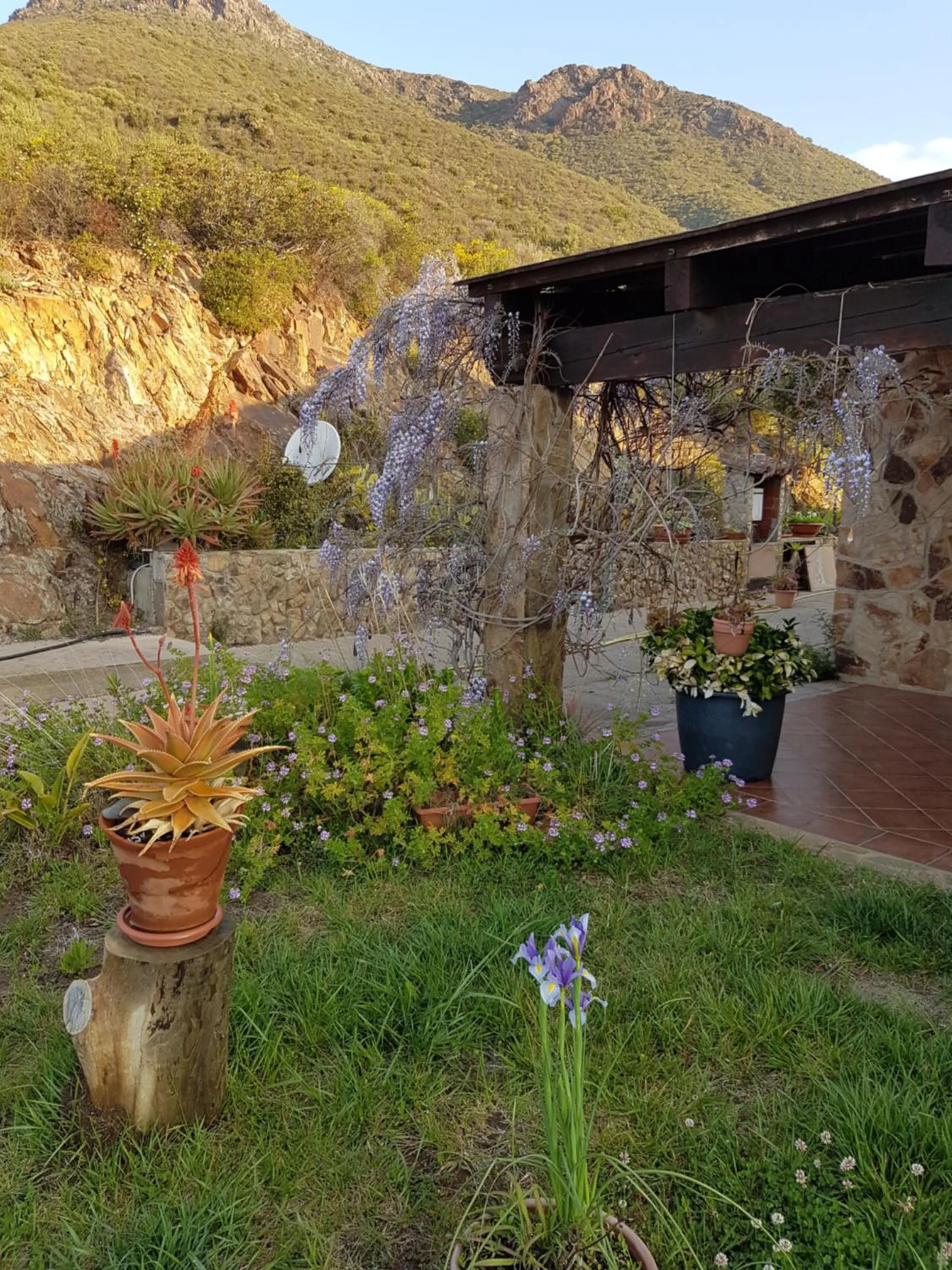 Garden in Hotel Sardus Pater