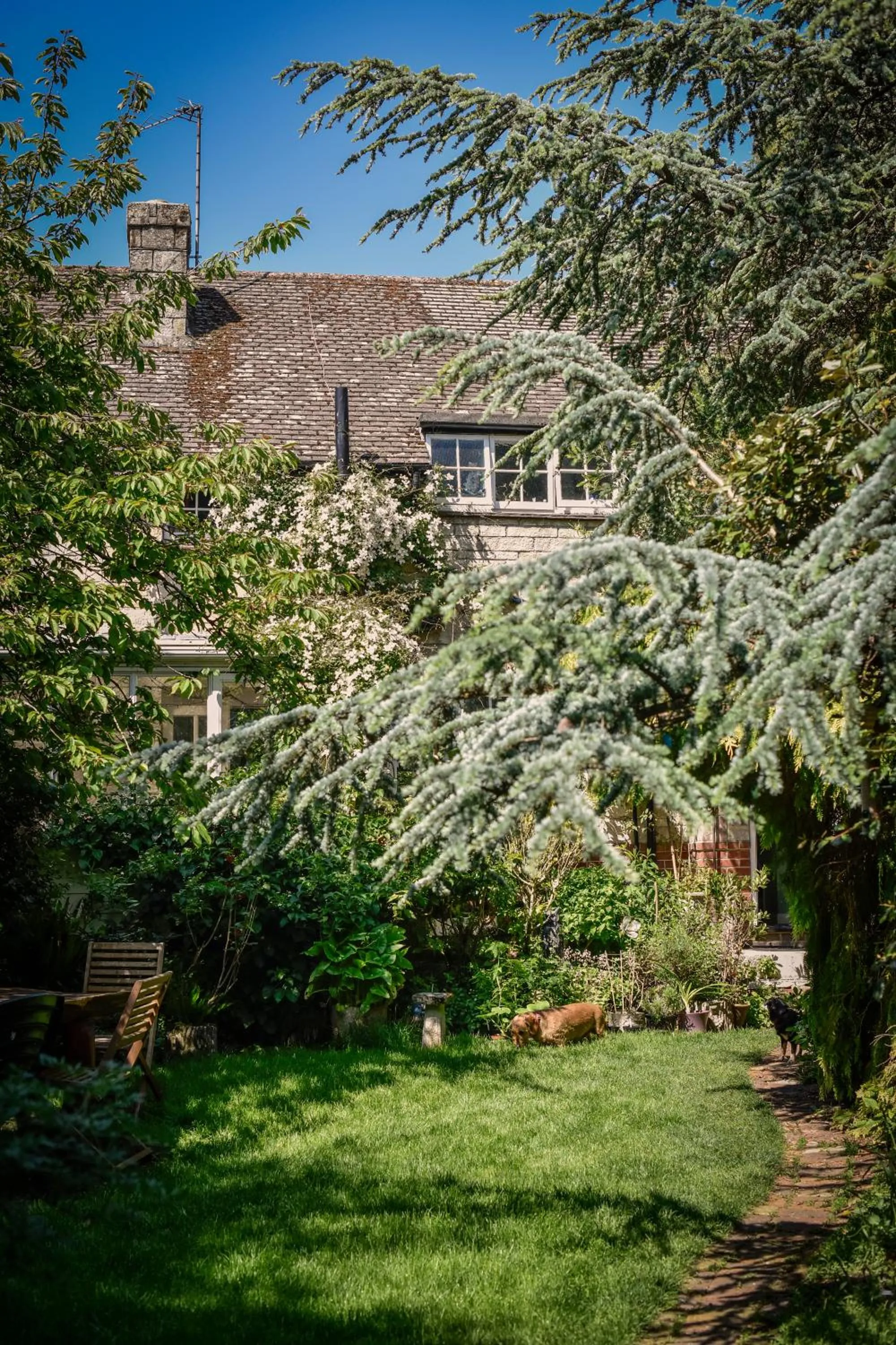 Garden in Ward Avenue B&B