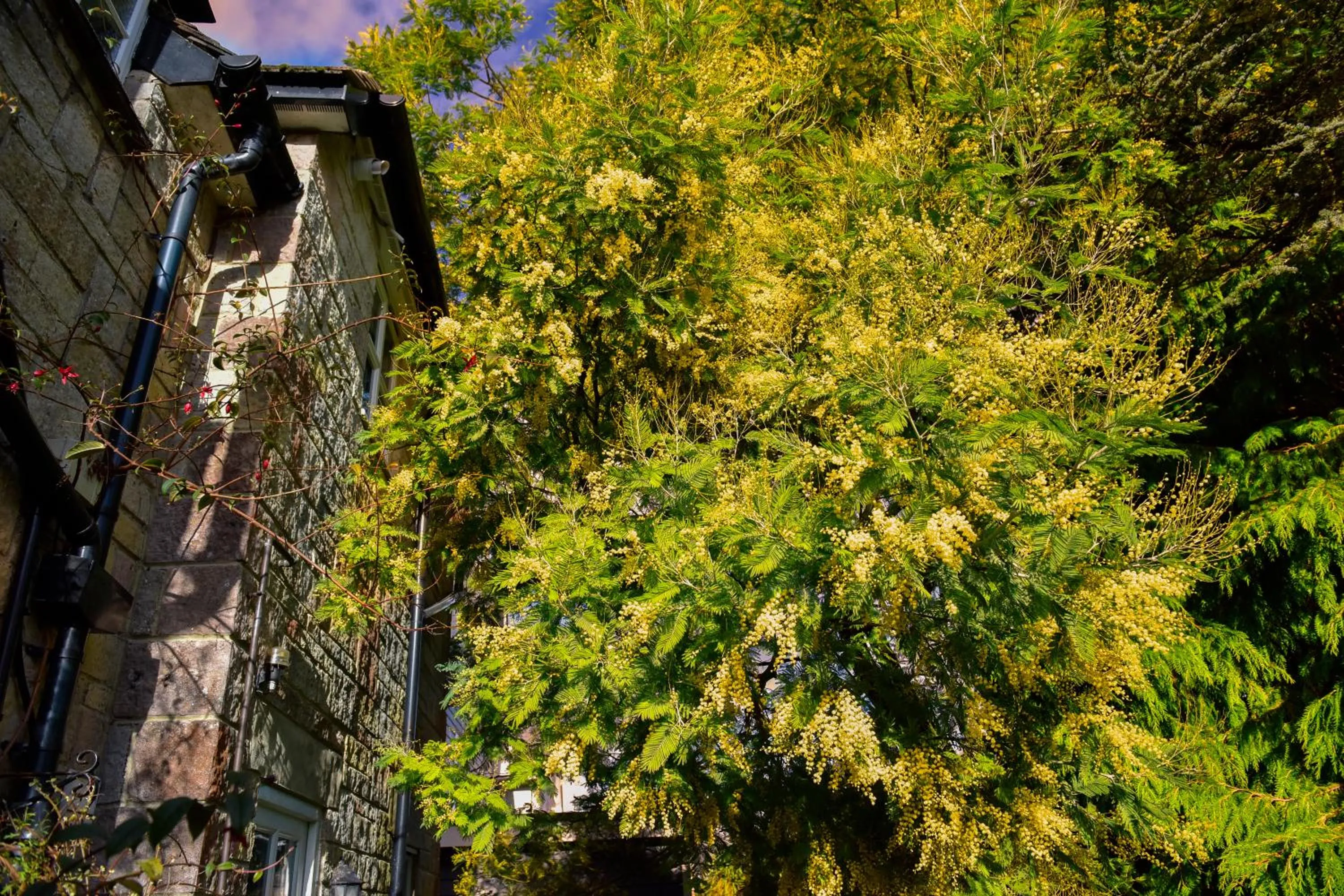 Property building in Ward Avenue B&B