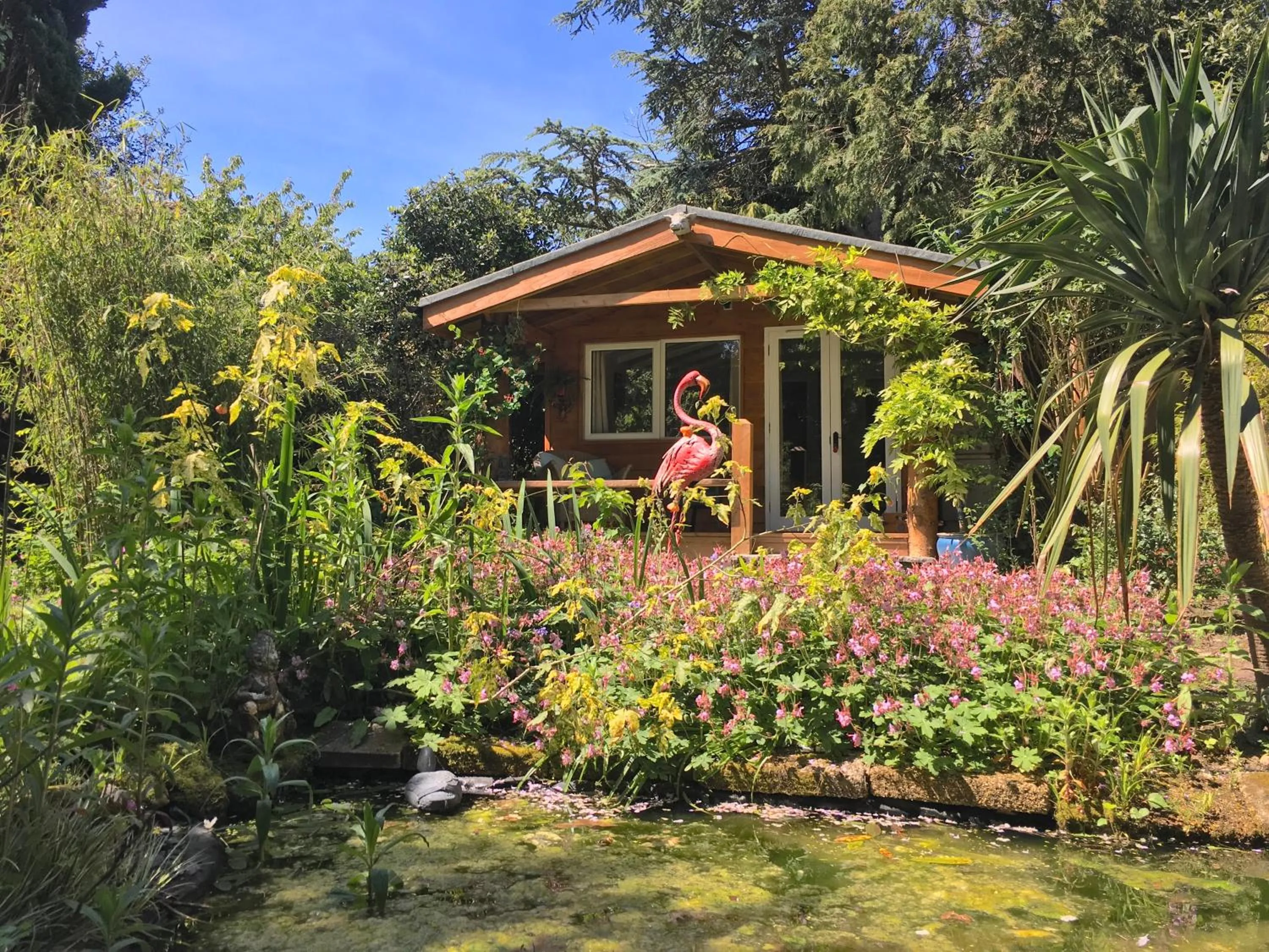 Garden in Ward Avenue B&B