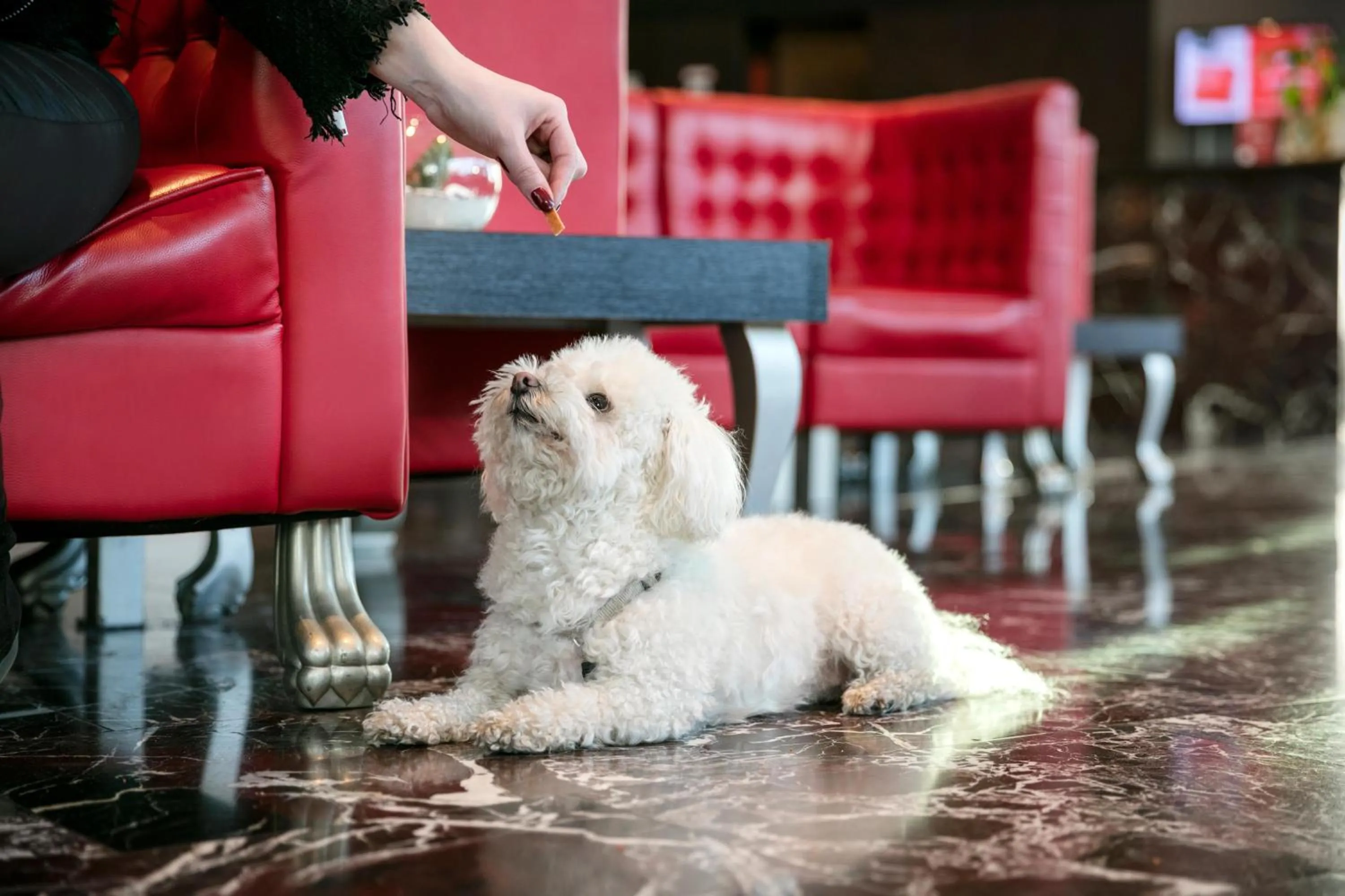 Lobby or reception in ARCOTEL Kaiserwasser Wien