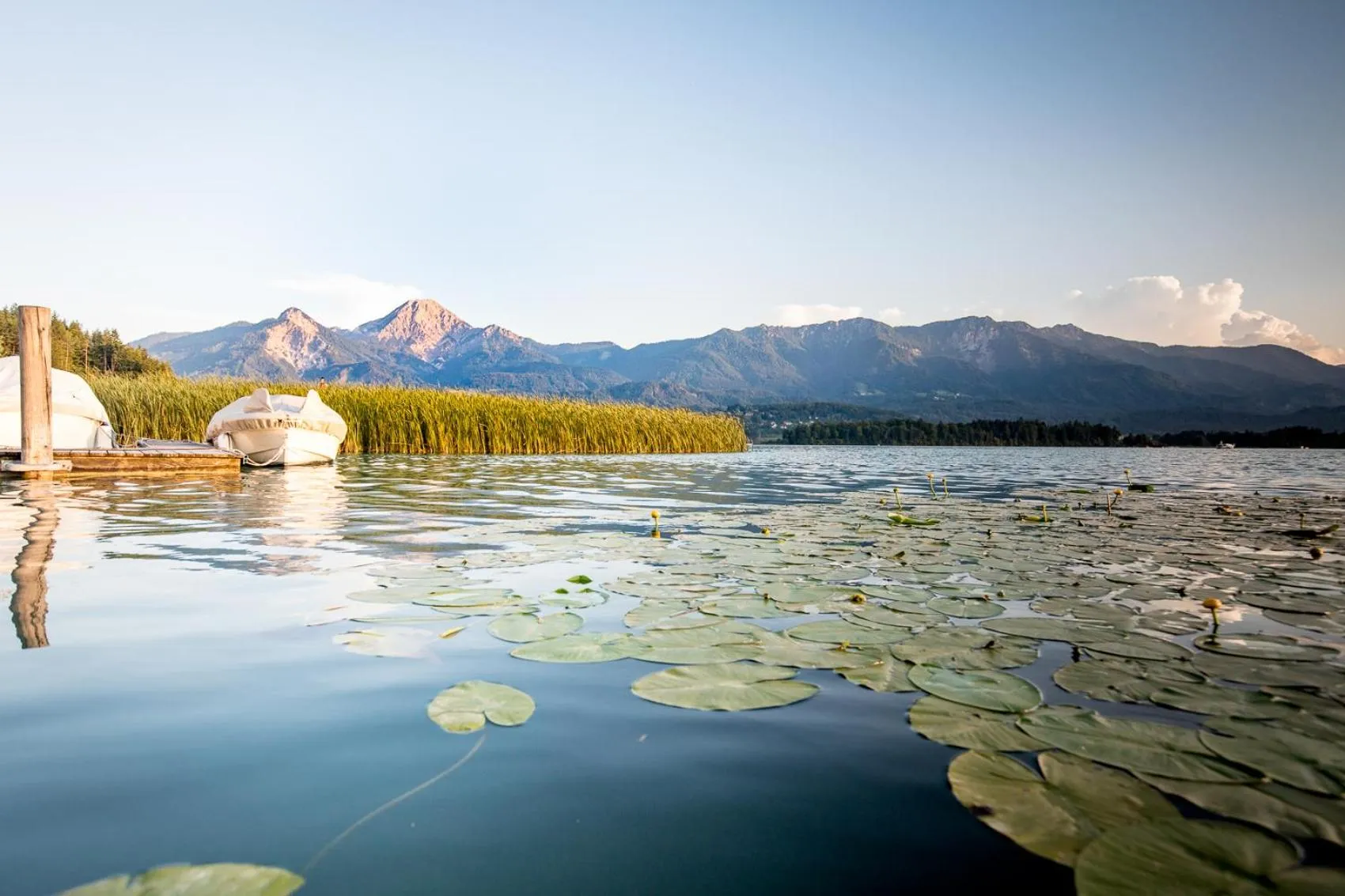 Beach in Das Moser - Hotel Garni am See (Adults Only)
