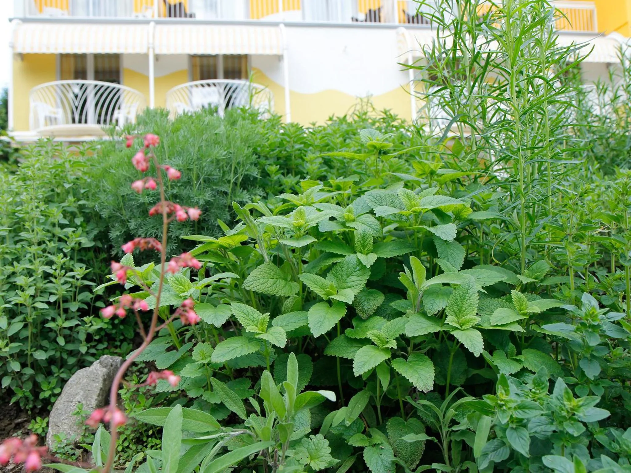 Day in Das Moser - Hotel Garni am See (Adults Only)