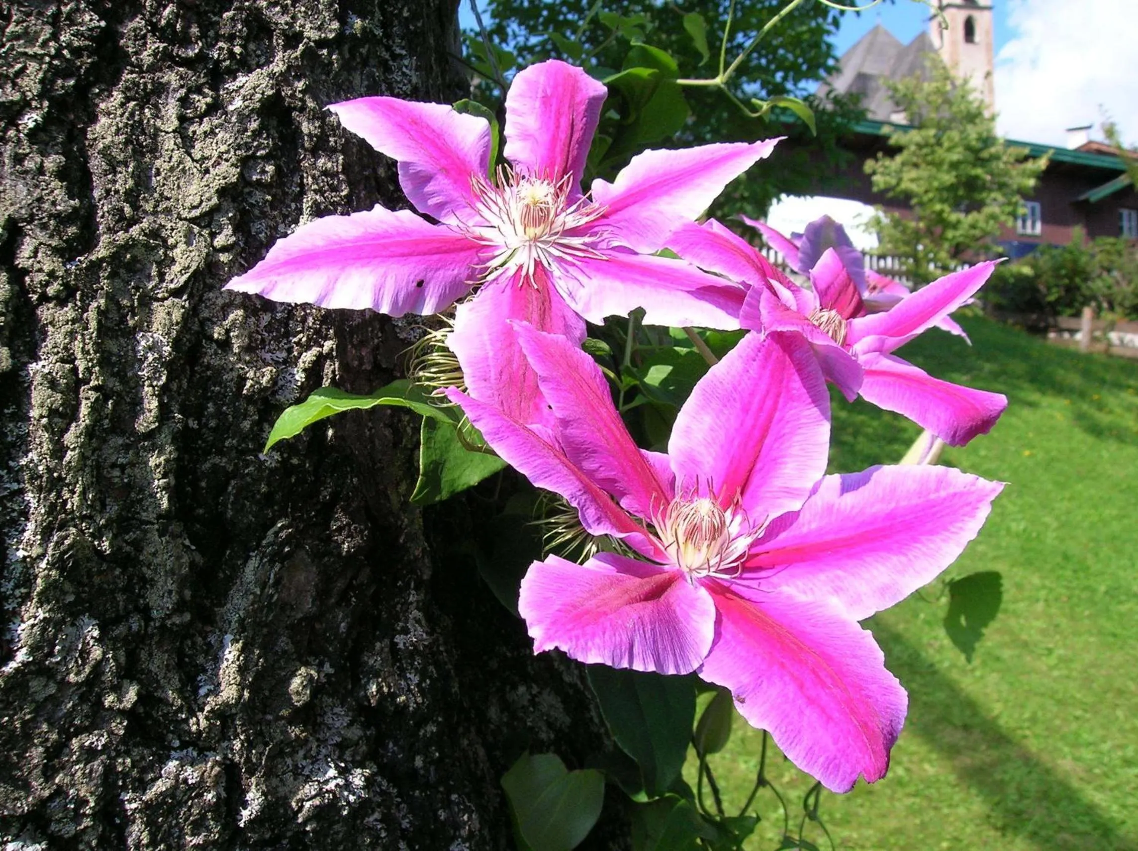 Decorative detail in Hotel Tiefenbrunner