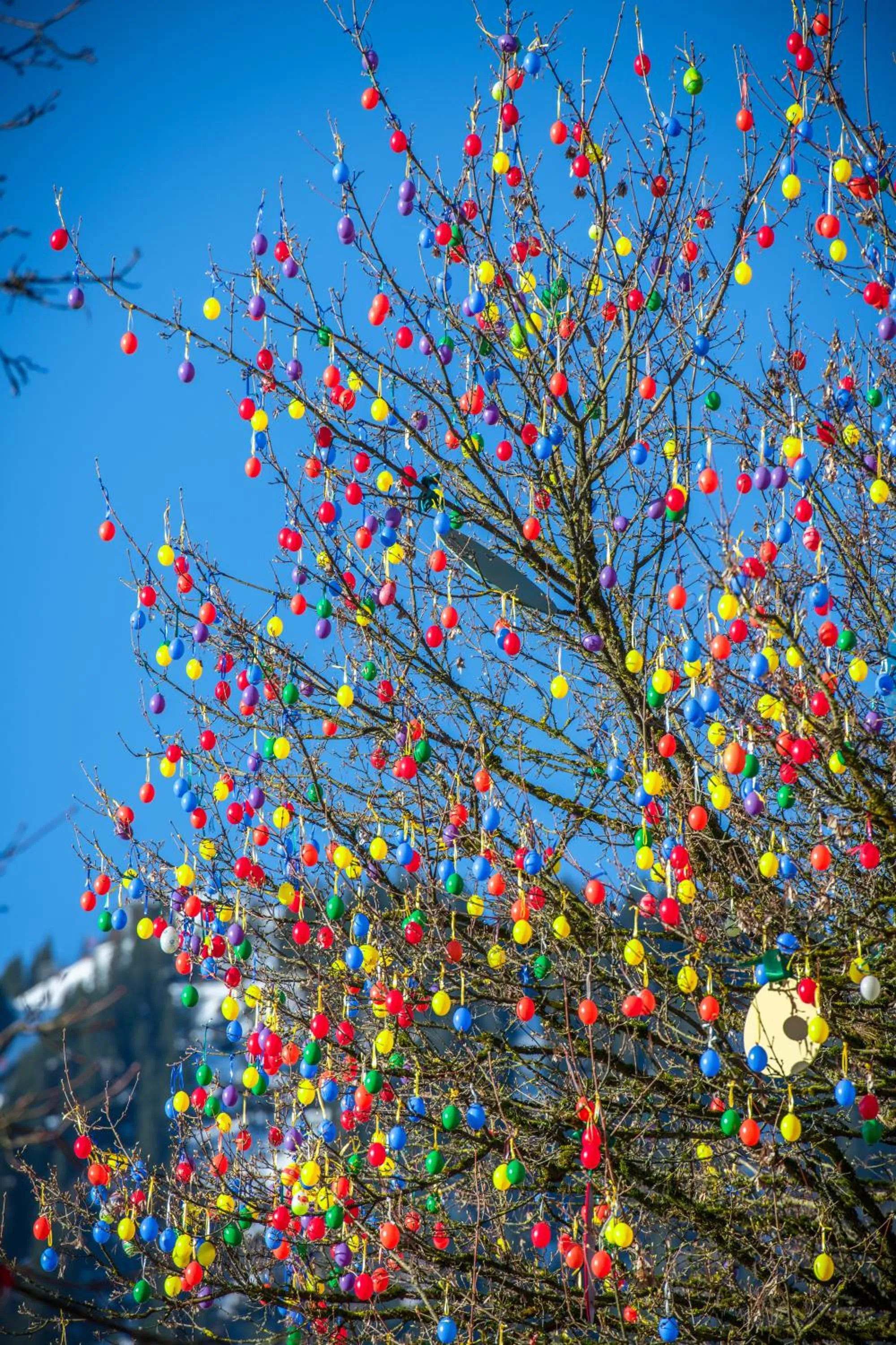 Property building in Rasmushof - Hotel Kitzbühel