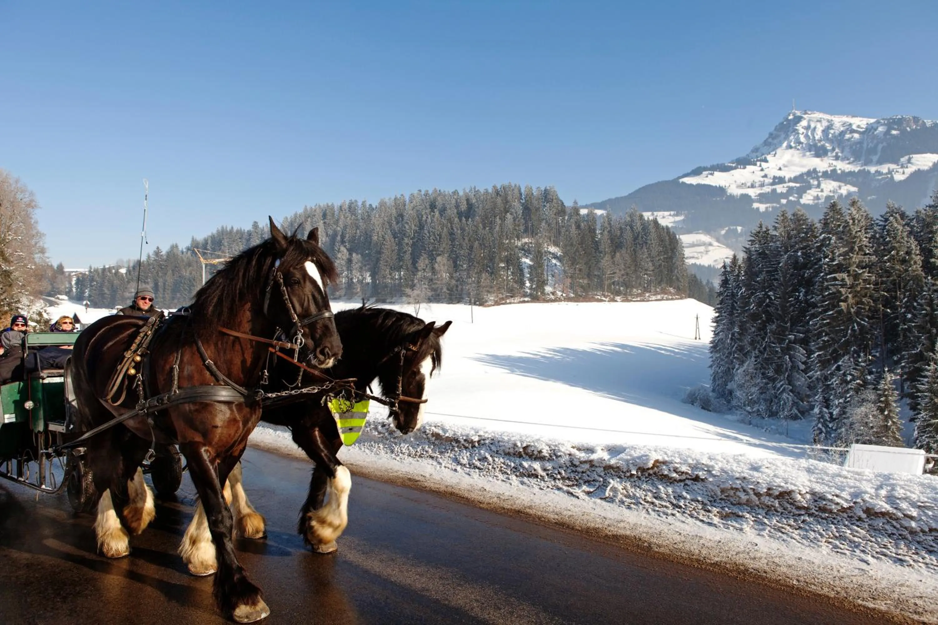 Natural landscape in Schlosshotel Kitzbühel