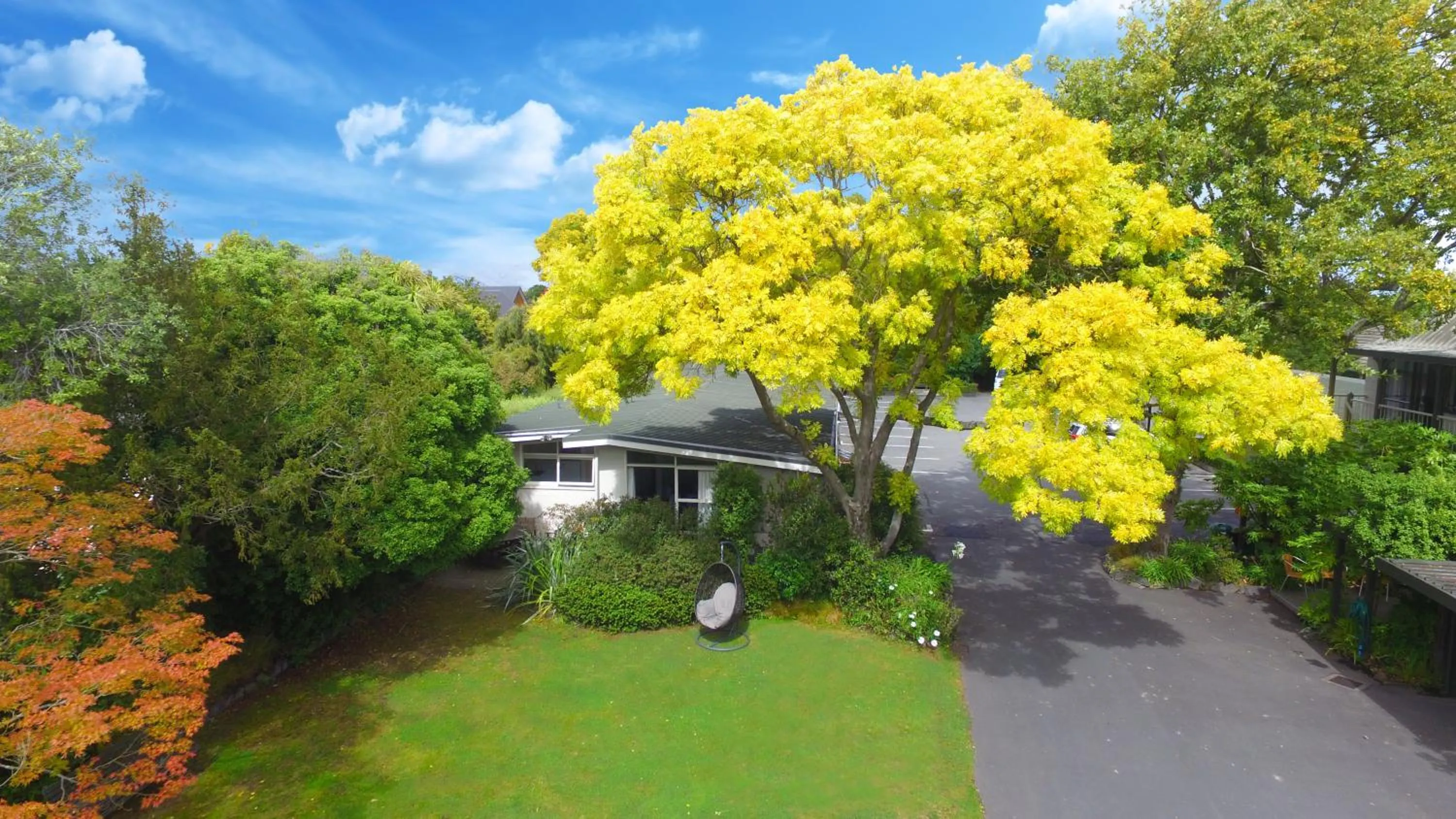 Garden in Ashleigh Court Motel-Christchurch Hagley Park