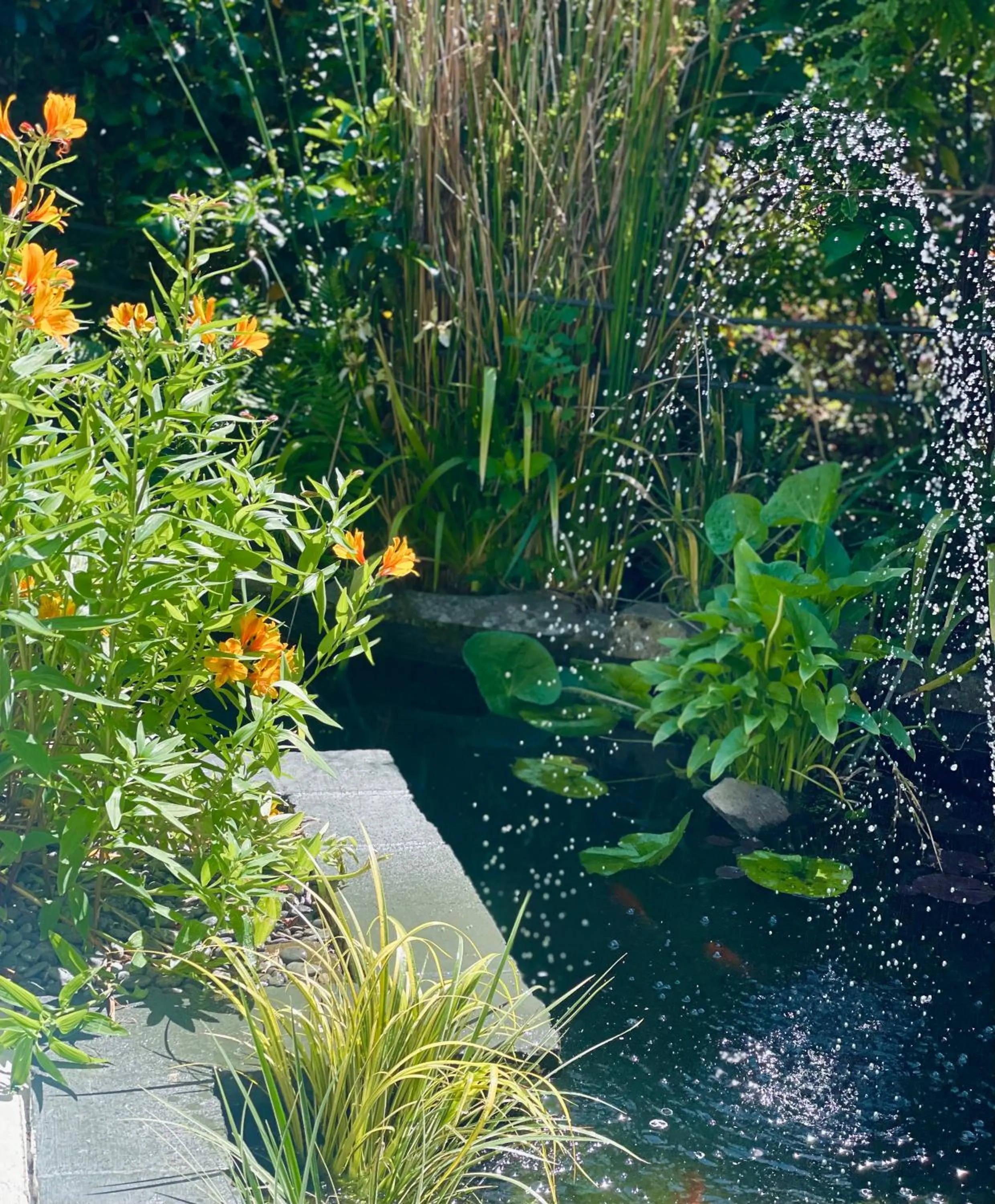 Natural landscape in Ashleigh Court Motel-Christchurch Hagley Park