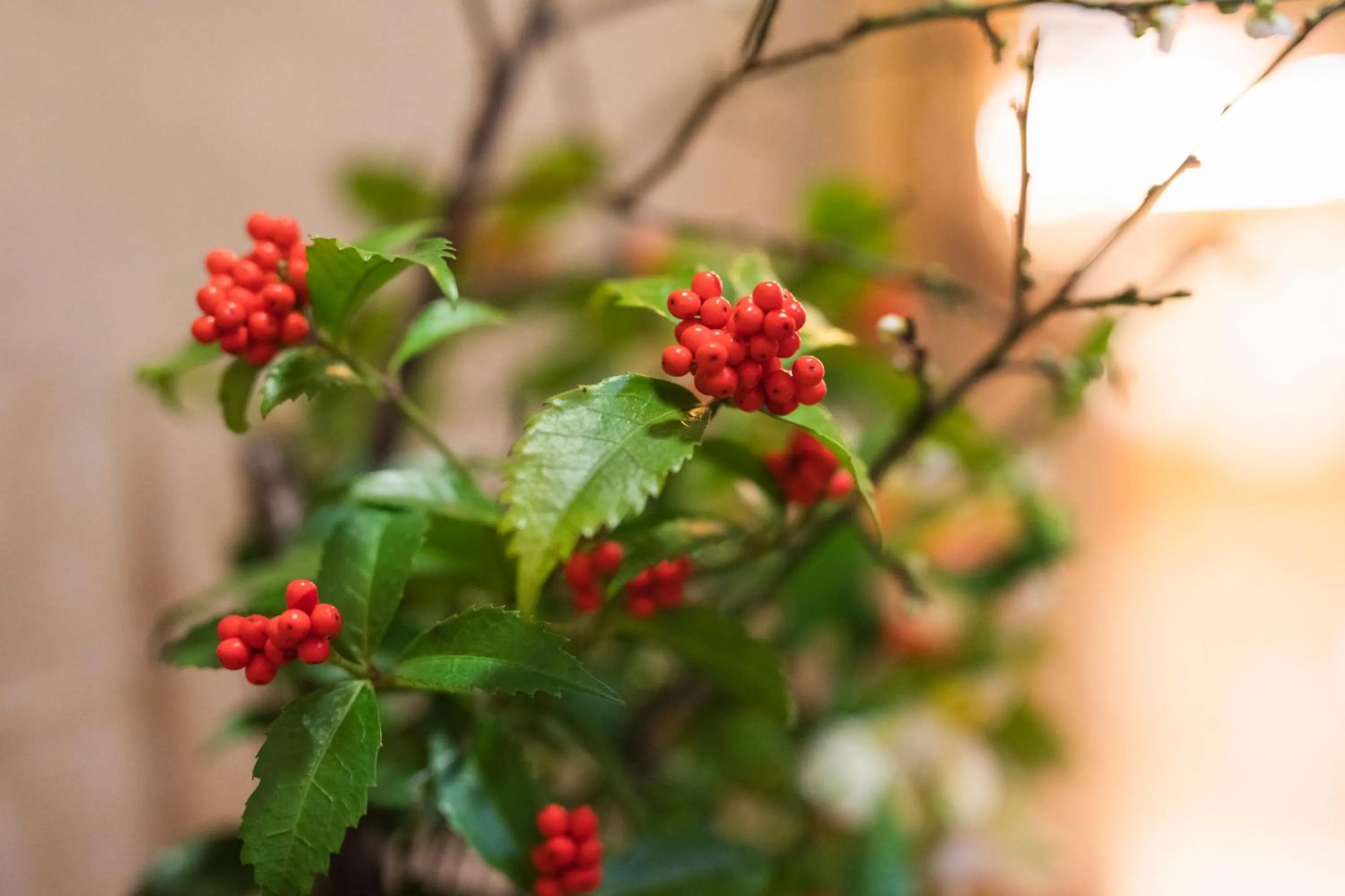 Lobby or reception in Yushintei