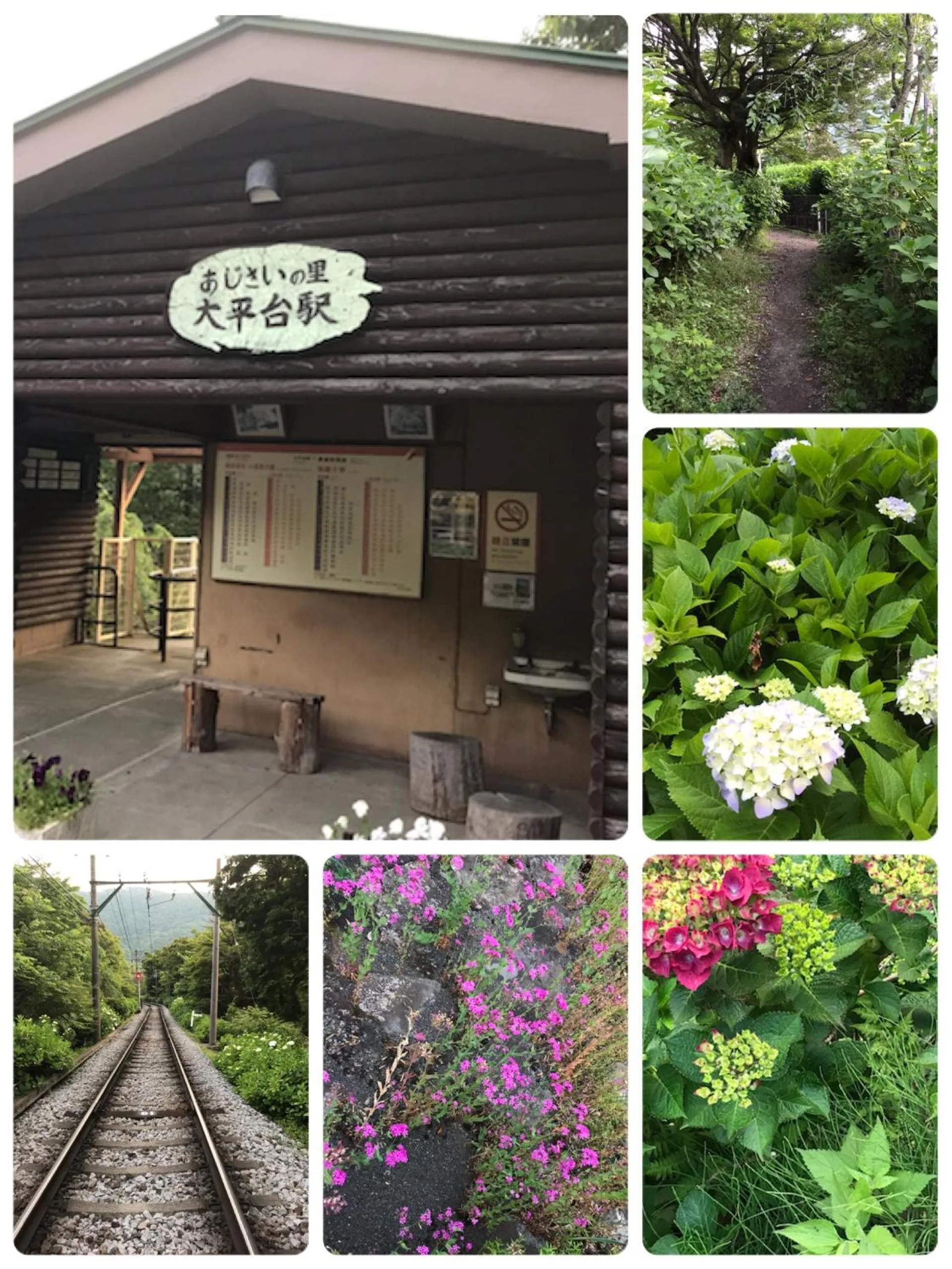 Other in Umimoto