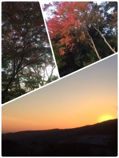Autumn in Umimoto