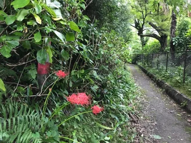 Time of day in Umimoto