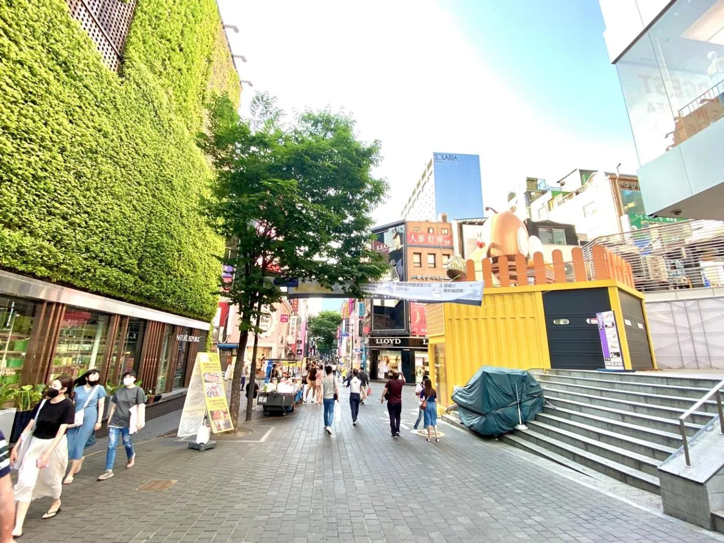 Neighbourhood in Namsan Forest in Myeongdong