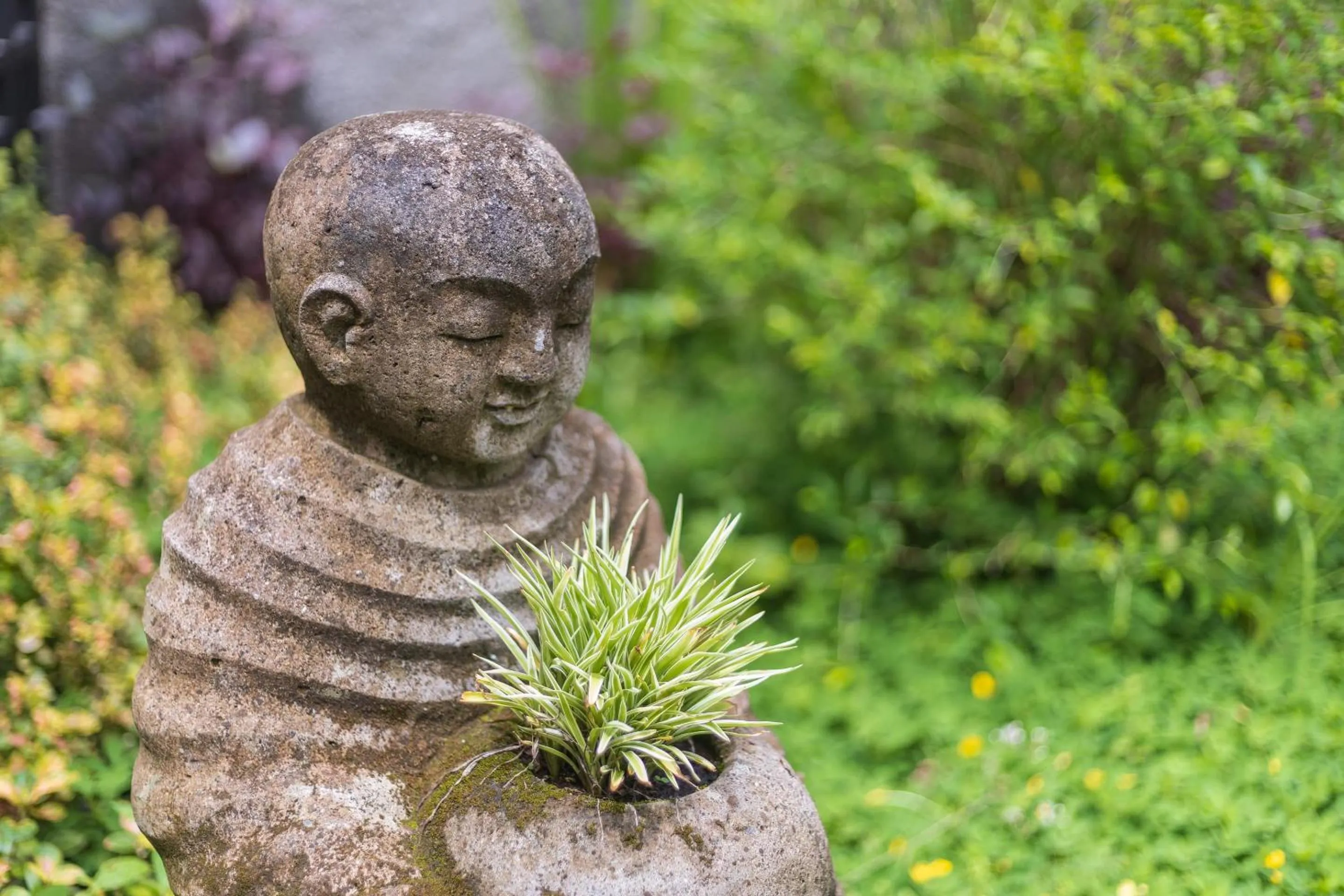 Garden in Thalassa Dive & Wellbeing Resort Manado