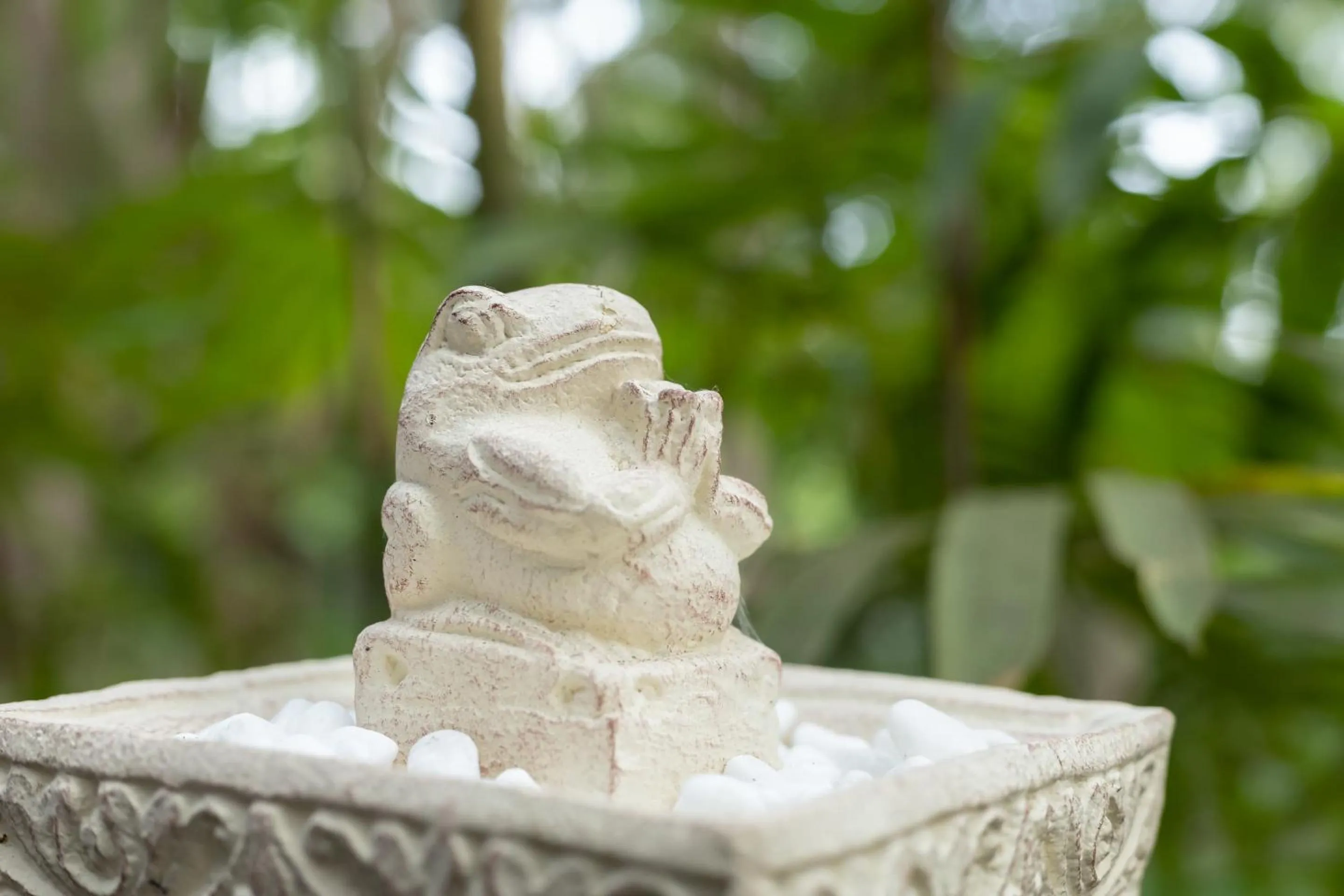 Garden in Thalassa Dive & Wellbeing Resort Manado