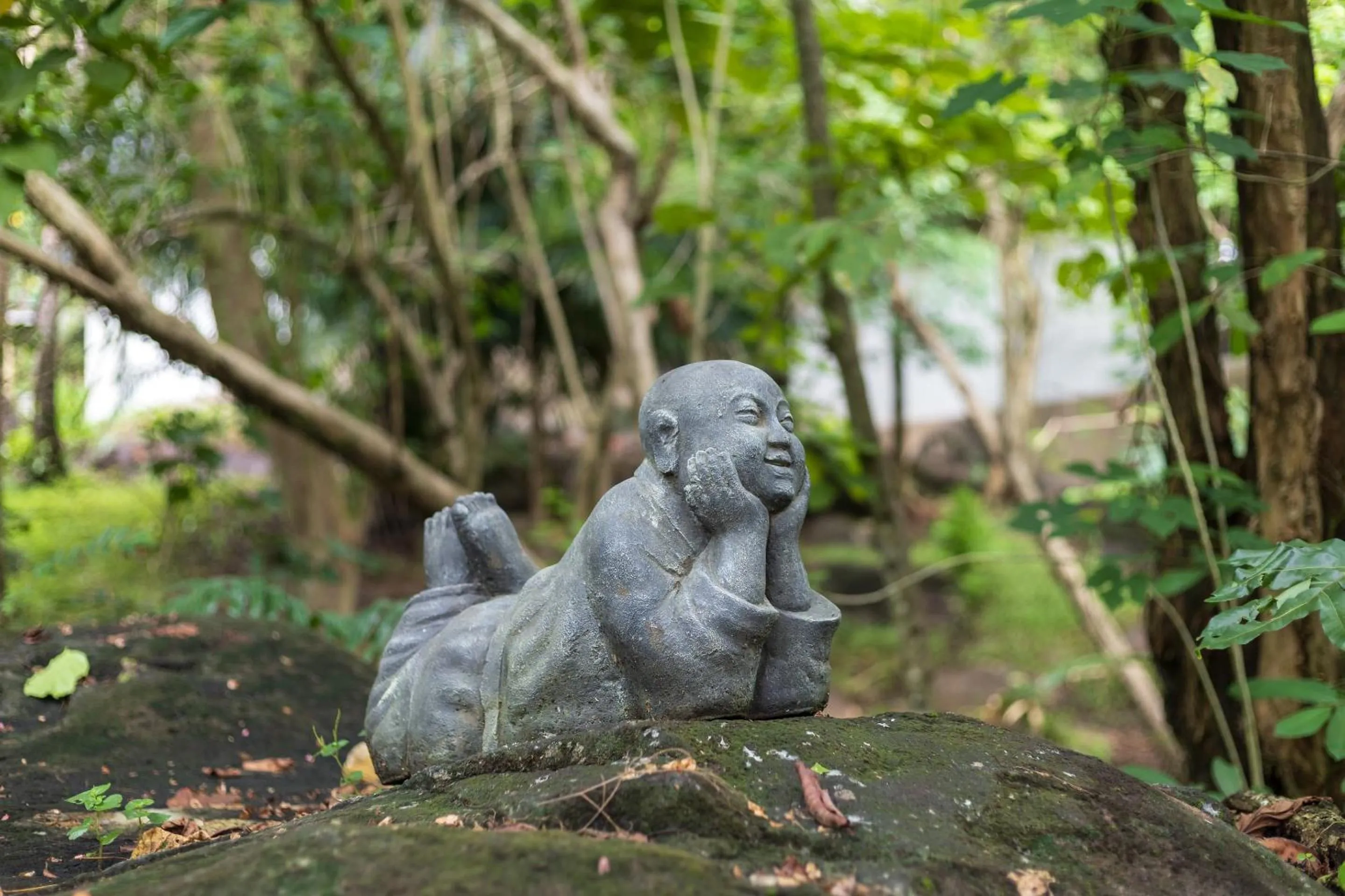 Garden in Thalassa Dive & Wellbeing Resort Manado